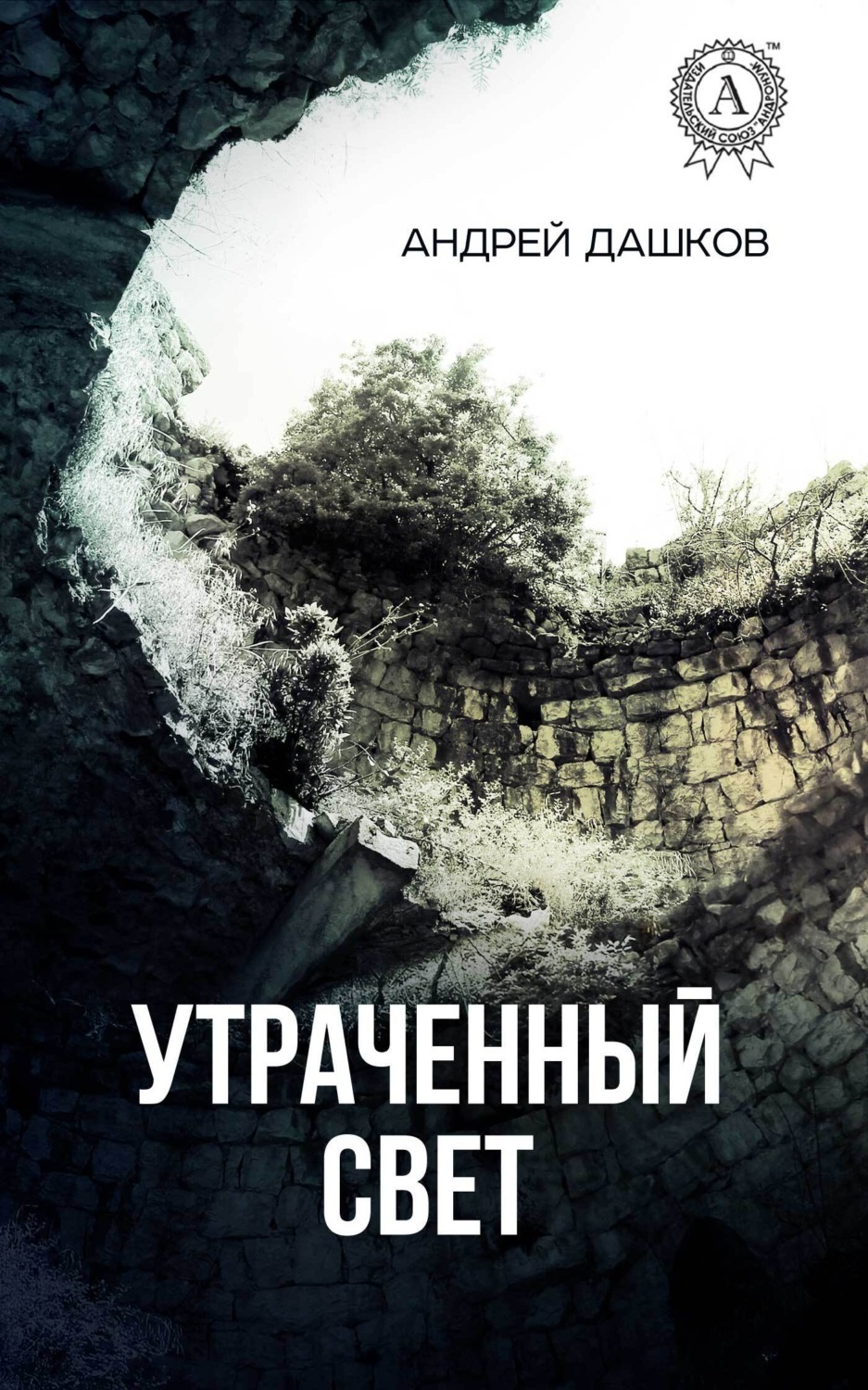 Обложка книги «Утраченный свет»