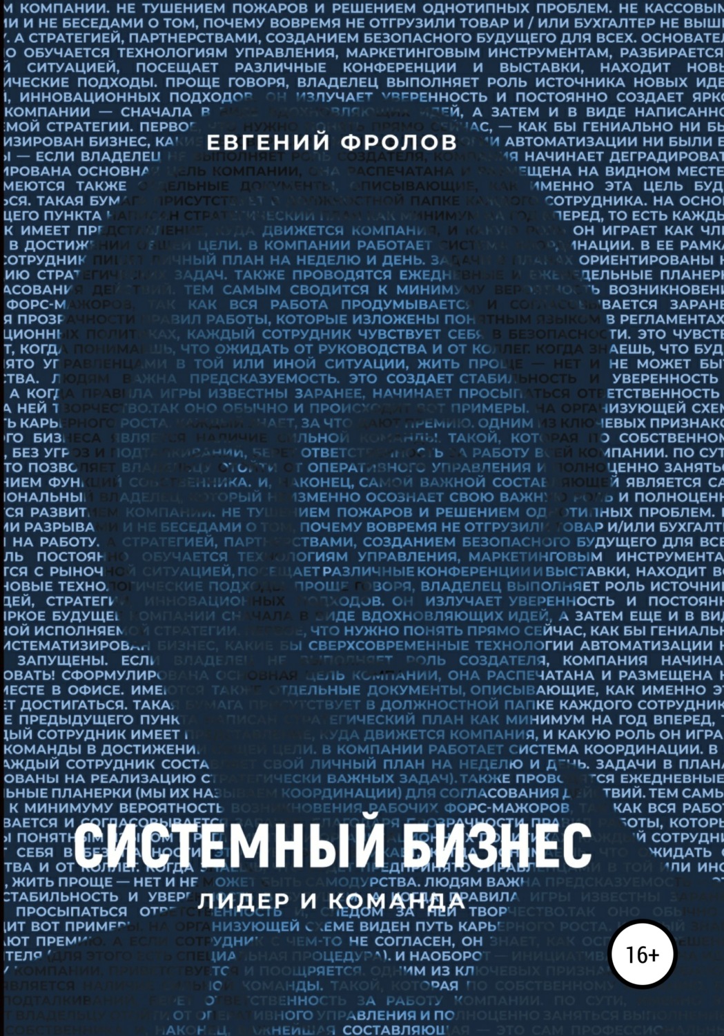 Обложка книги «Системный бизнес. Лидер и команда»
