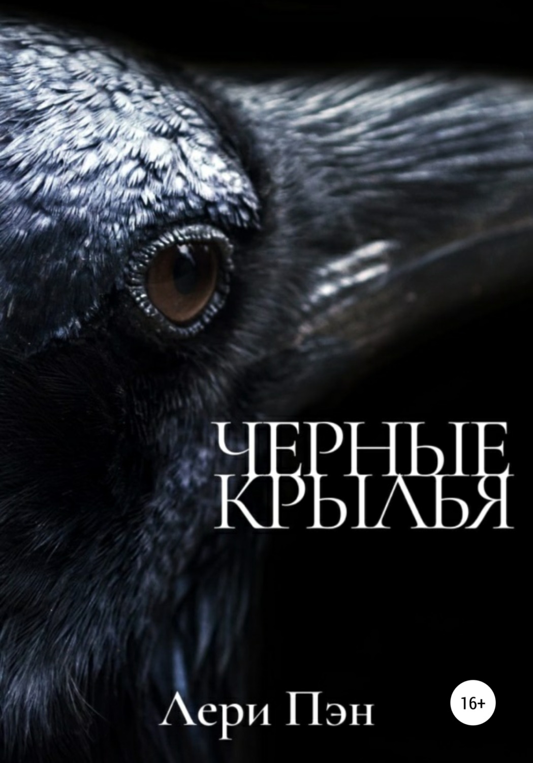Обложка книги «Черные крылья»