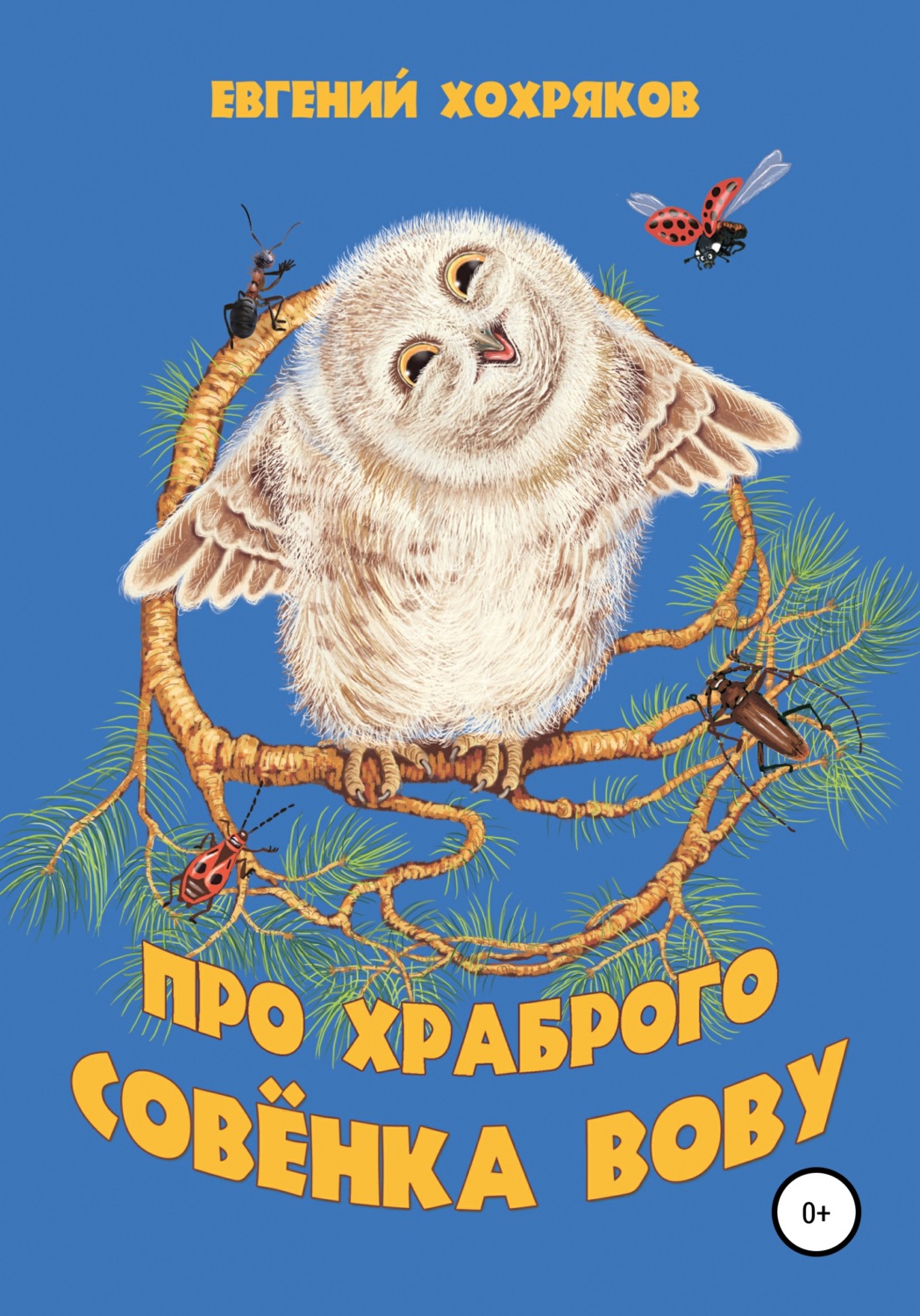 Обложка книги «Про храброго совёнка Вову»