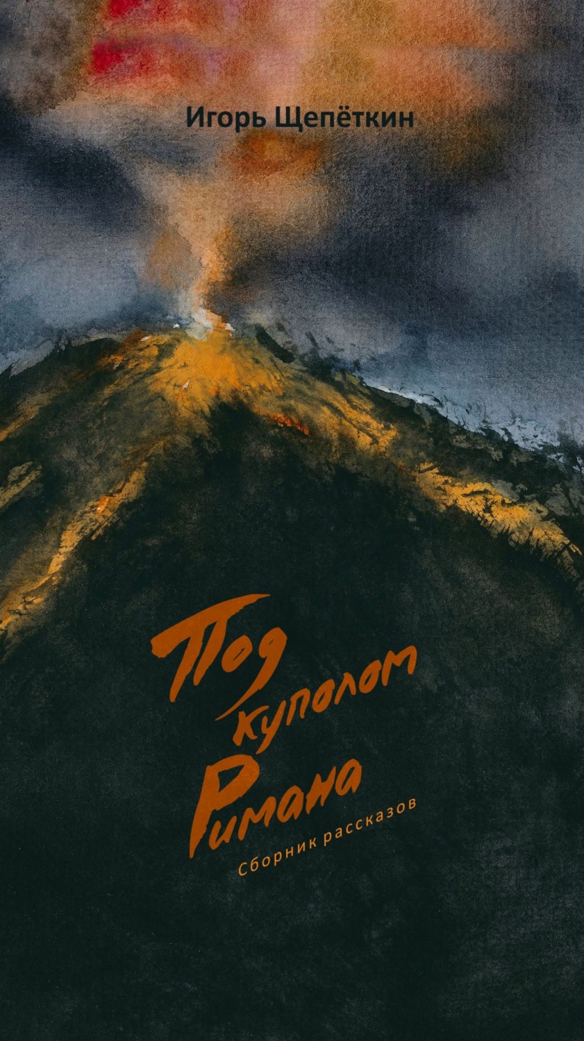 Обложка книги «Под куполом Римана»