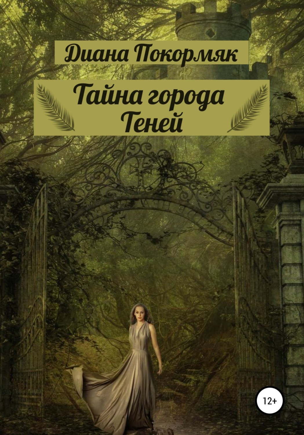 Обложка книги «Тайна города Теней»
