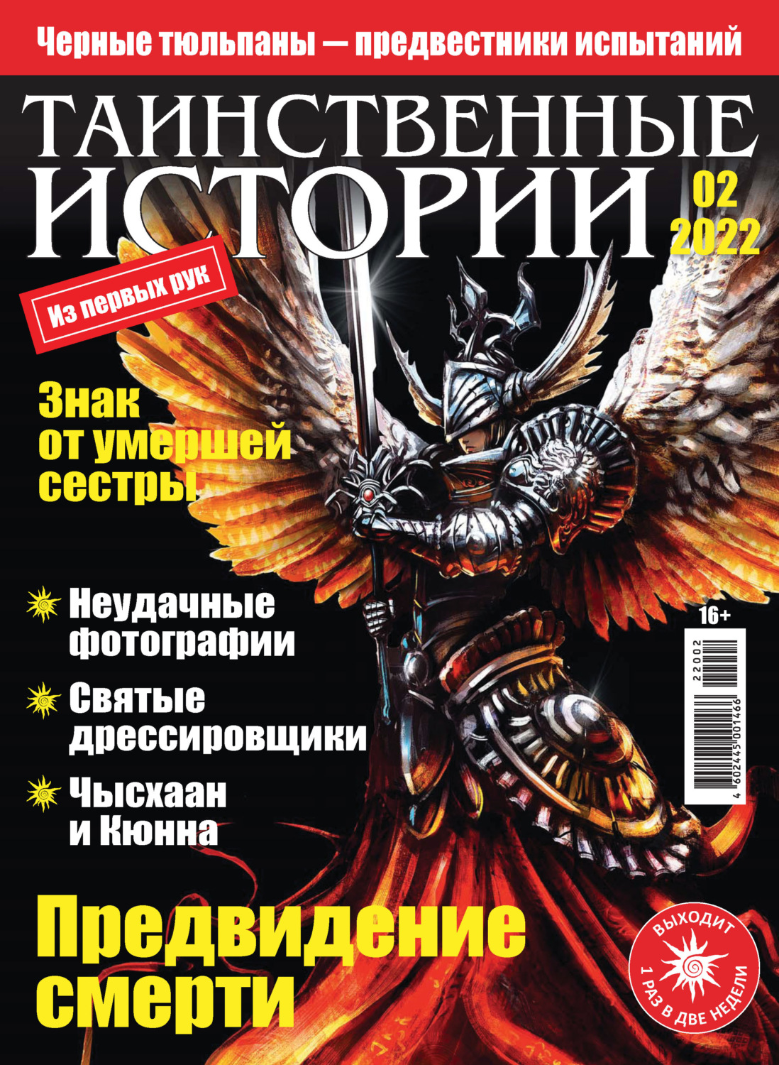 Обложка книги «Таинственные истории №02/2022»