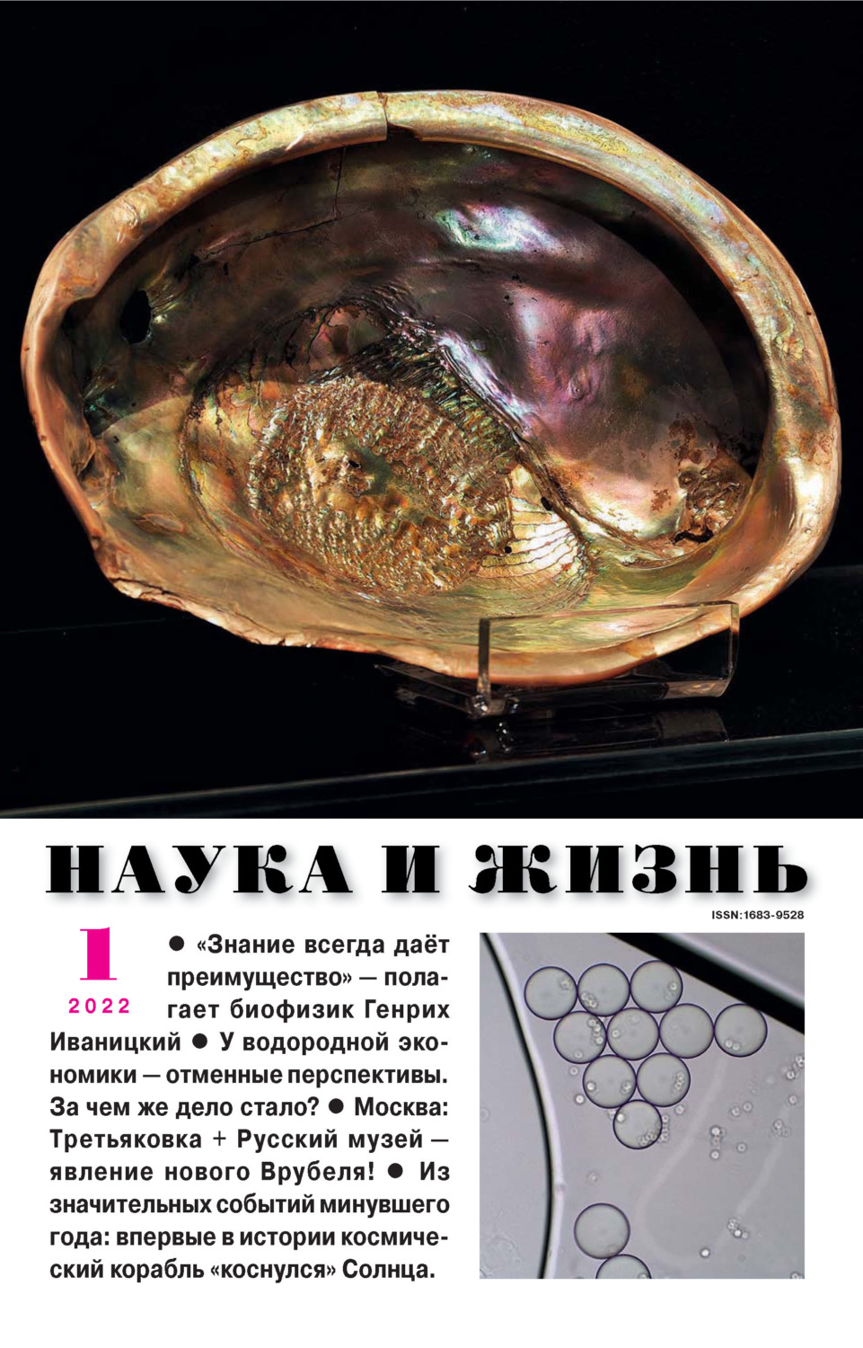 Обложка книги «Наука и жизнь №01/2022»