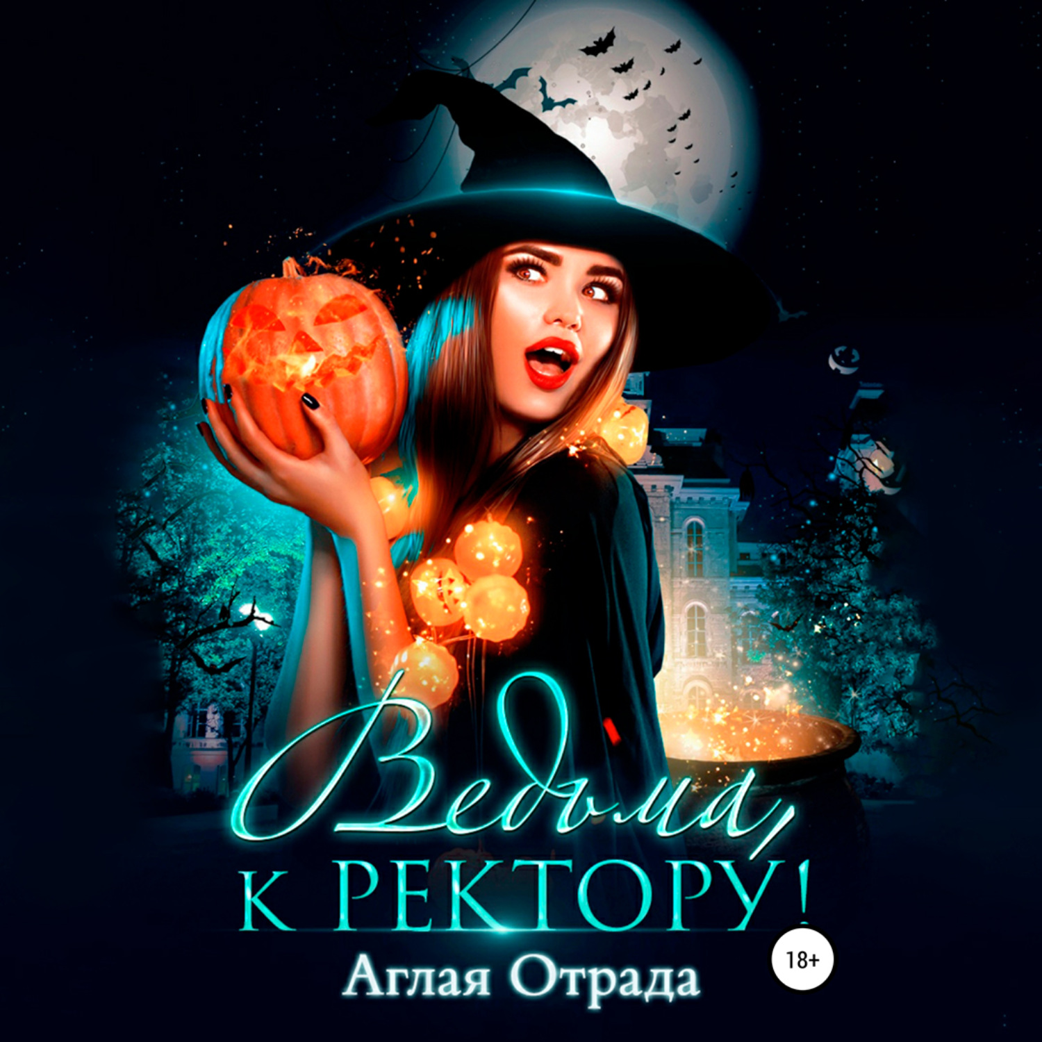 Обложка книги «Ведьма, к ректору!»