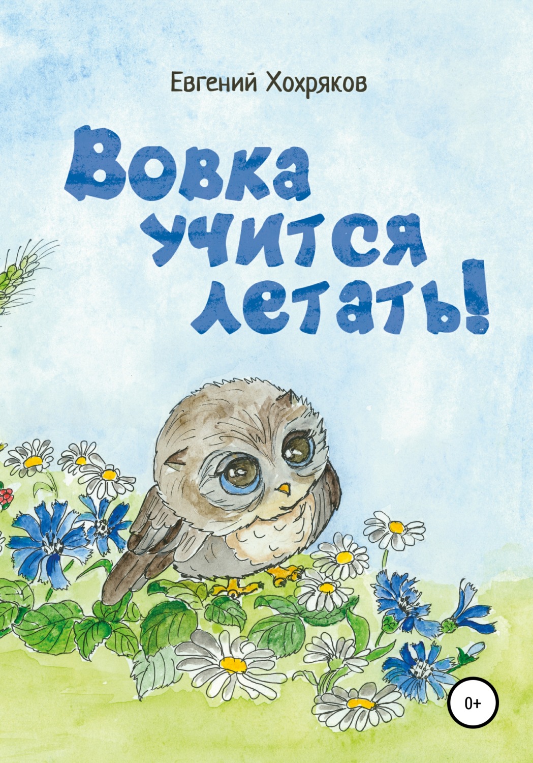 Обложка книги «Вовка учится летать!»