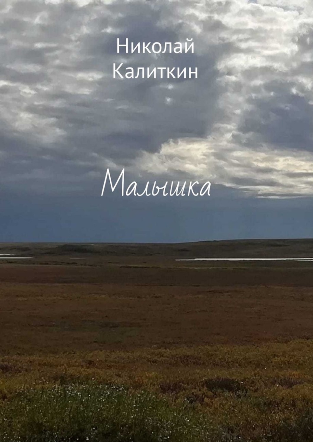 Обложка книги «Малышка»
