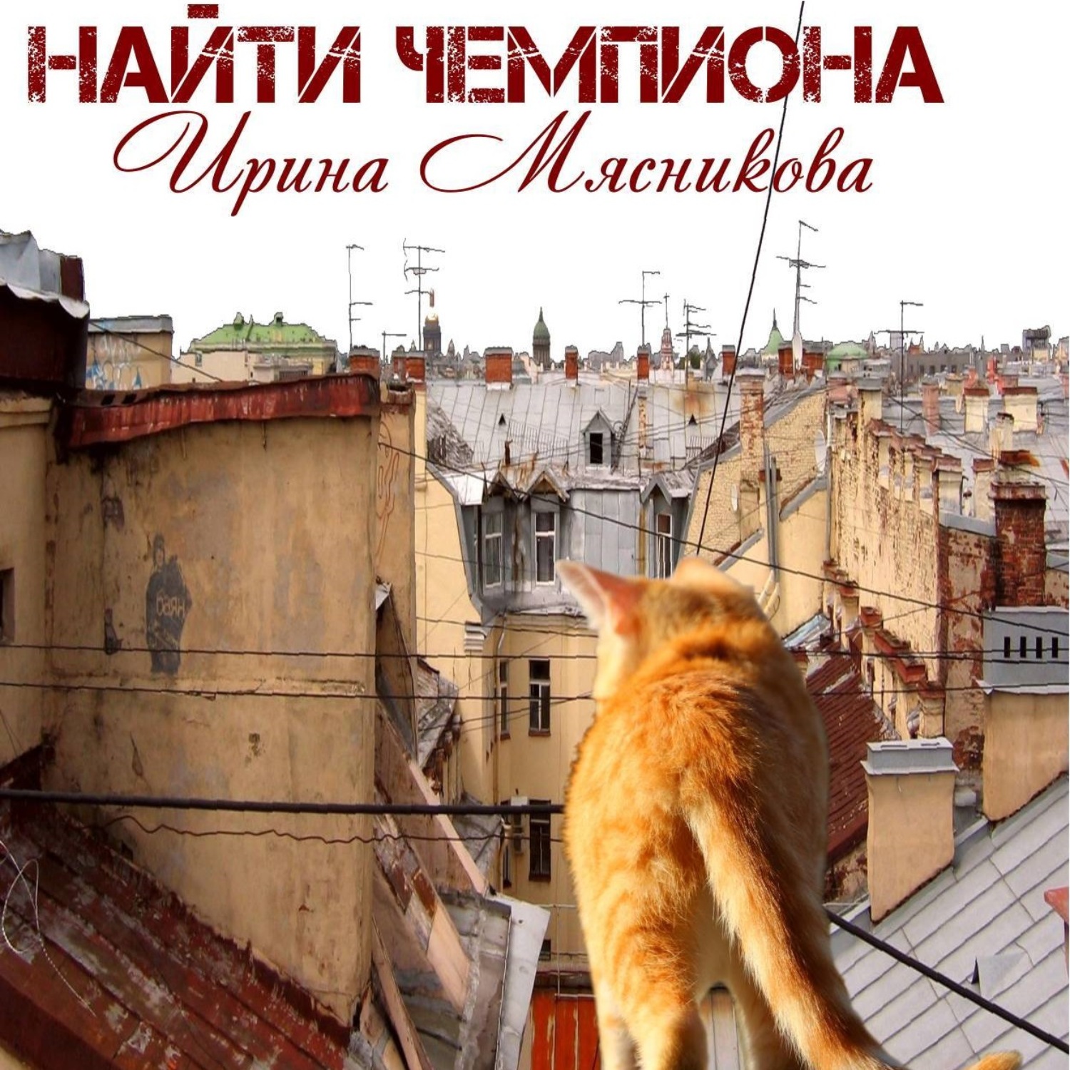 Обложка книги «Найти чемпиона»
