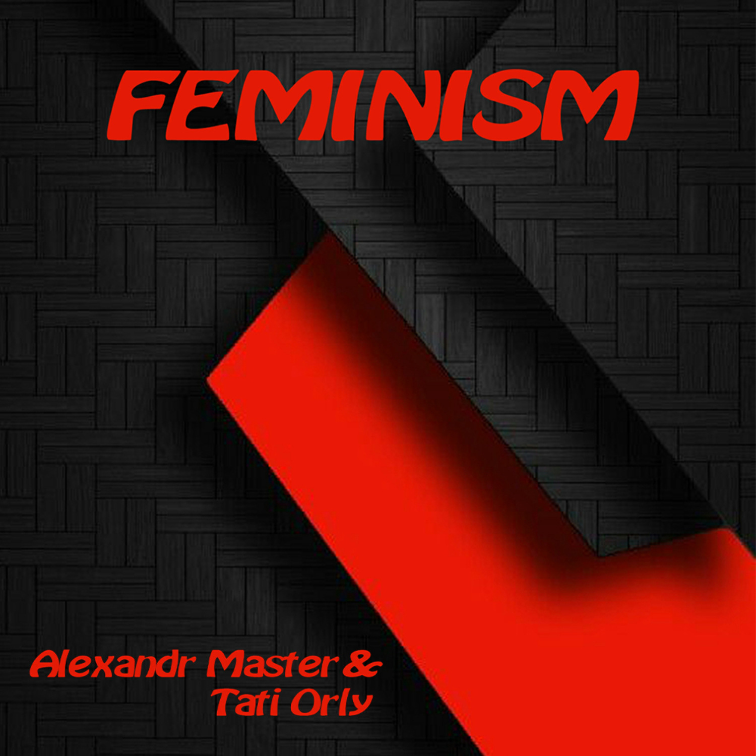 Обложка книги «Feminism»