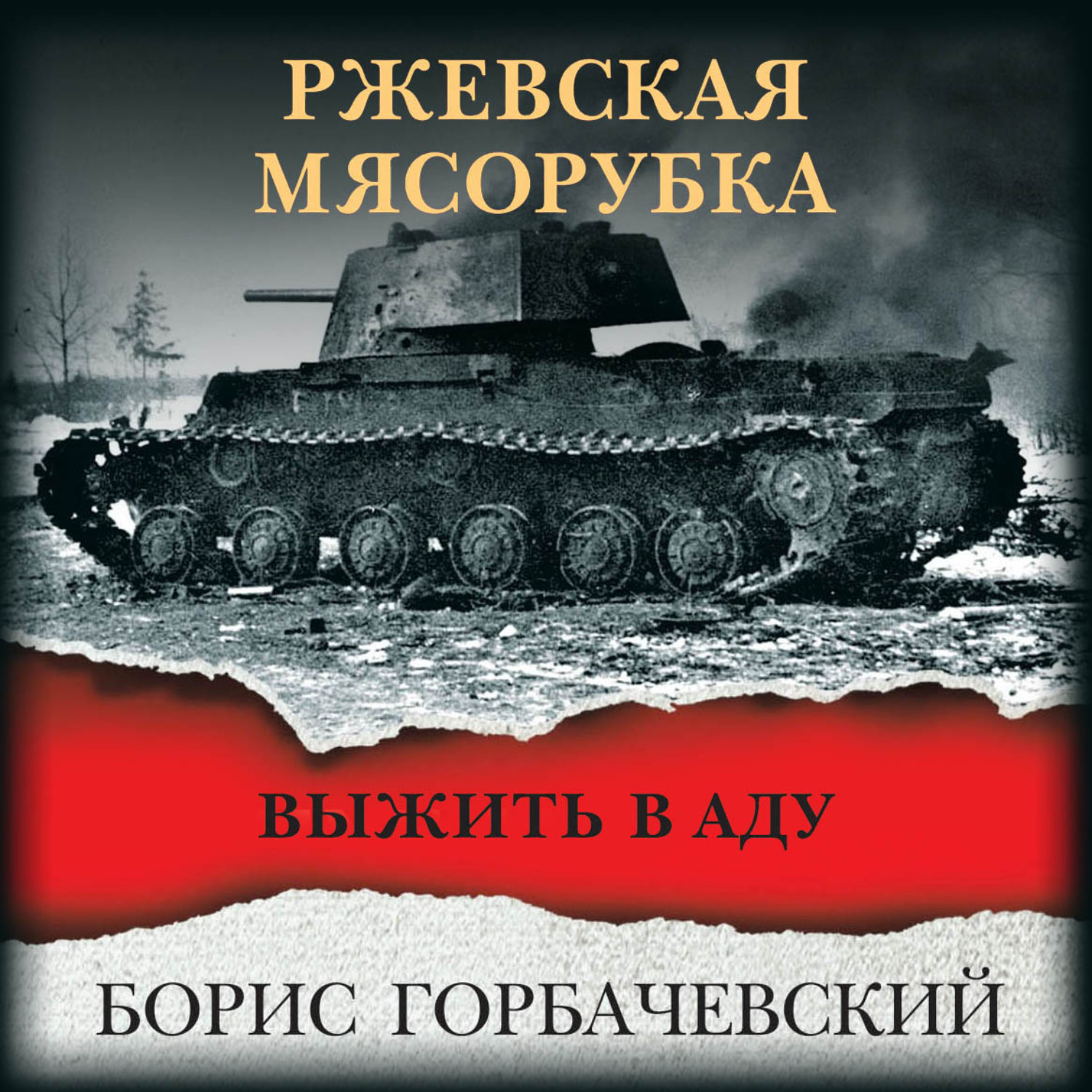 Обложка книги «Ржевская мясорубка. Выжить в аду»