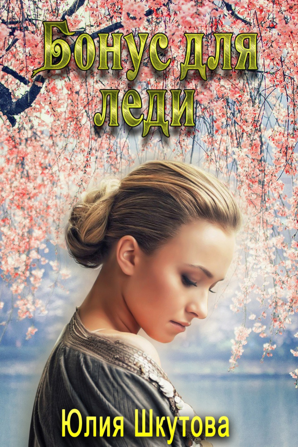 Обложка книги «Бонус для леди»