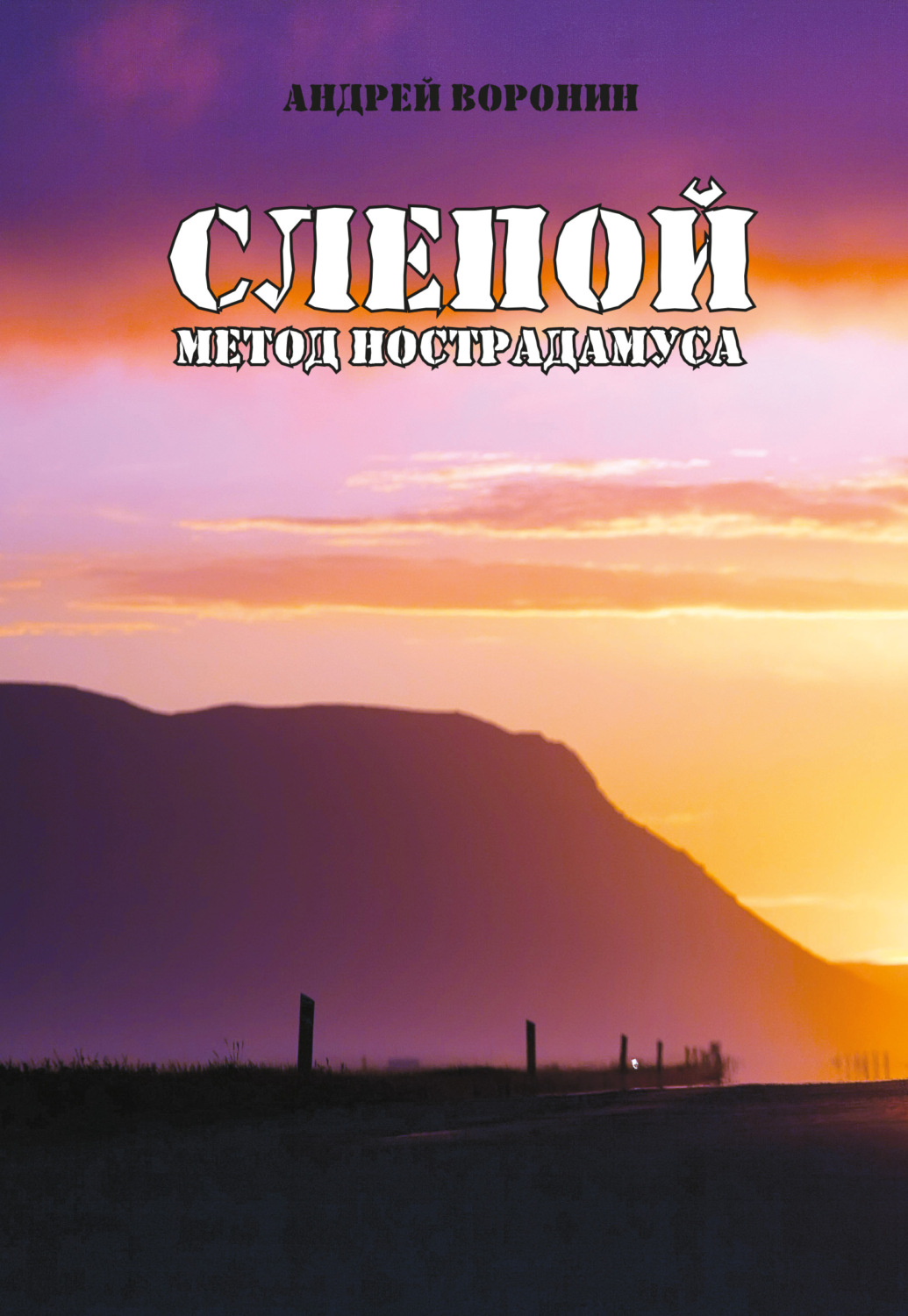 Обложка книги «Слепой. Метод Нострадамуса»