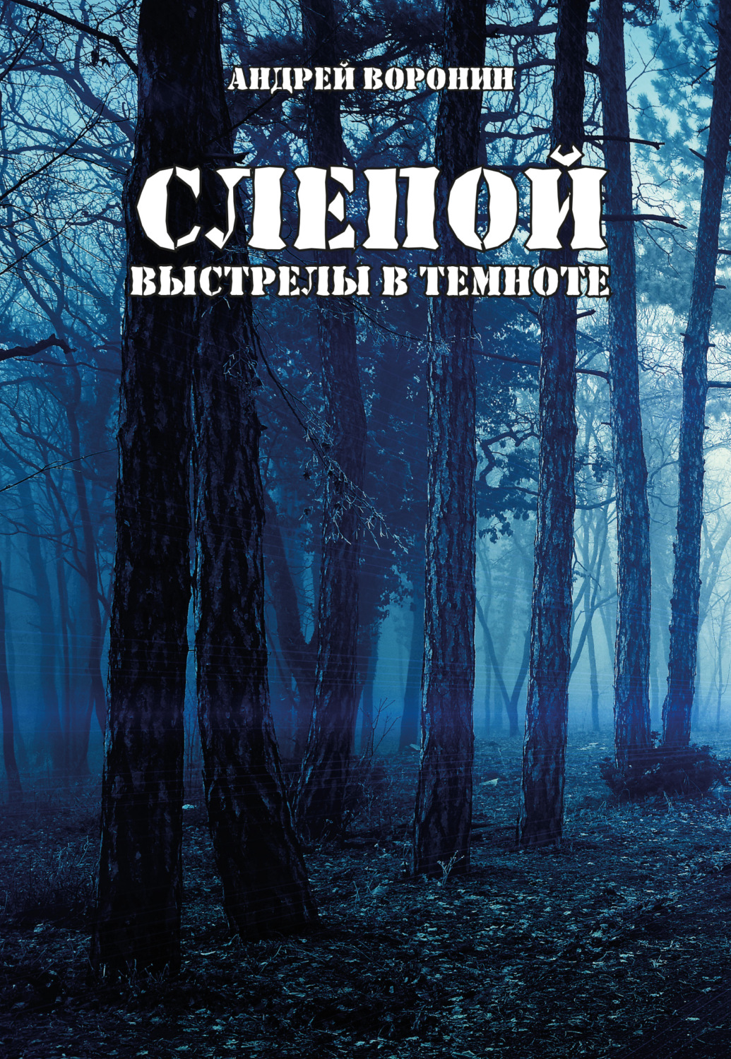 Обложка книги «Слепой. Выстрелы в темноте»