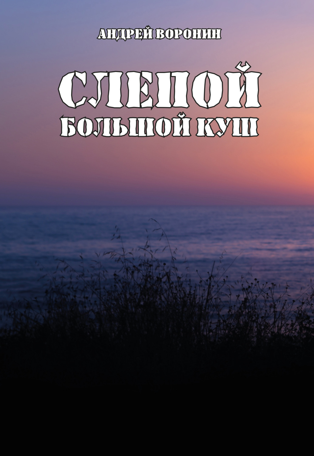 Обложка книги «Слепой. Большой куш»