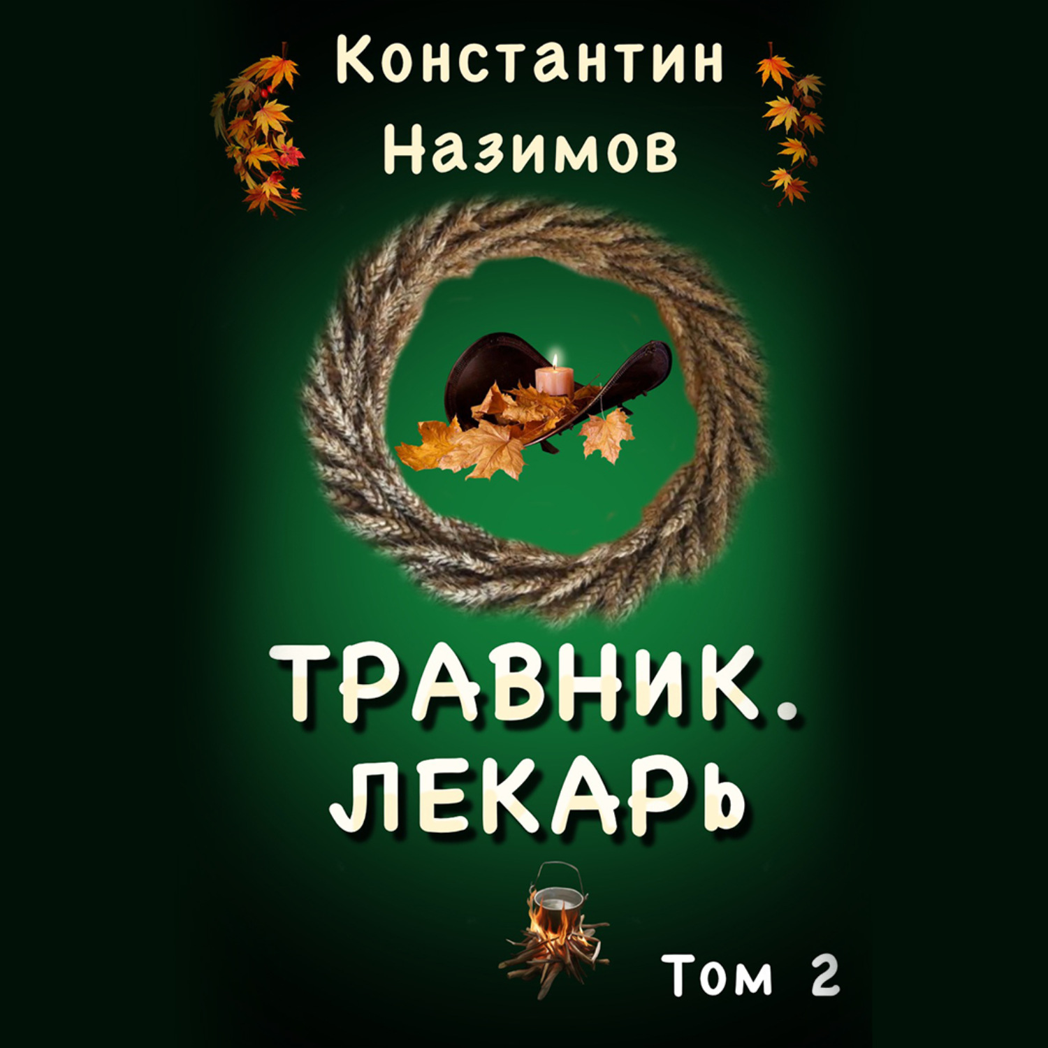 Обложка книги «Травник 2. Лекарь»