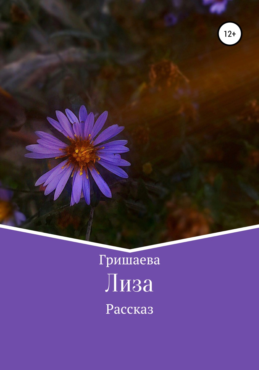Обложка книги «Лиза»