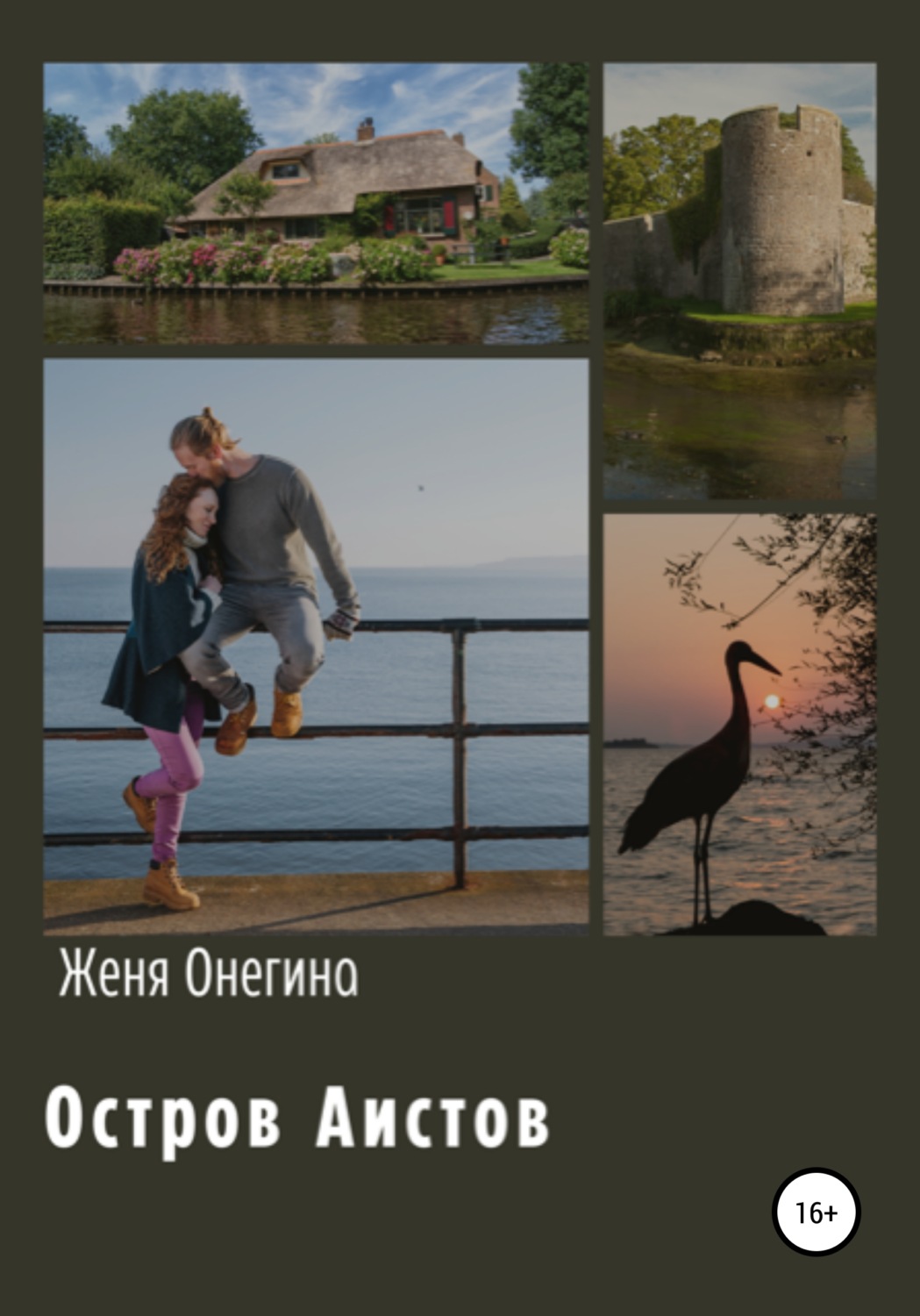 Обложка книги «Остров аистов»