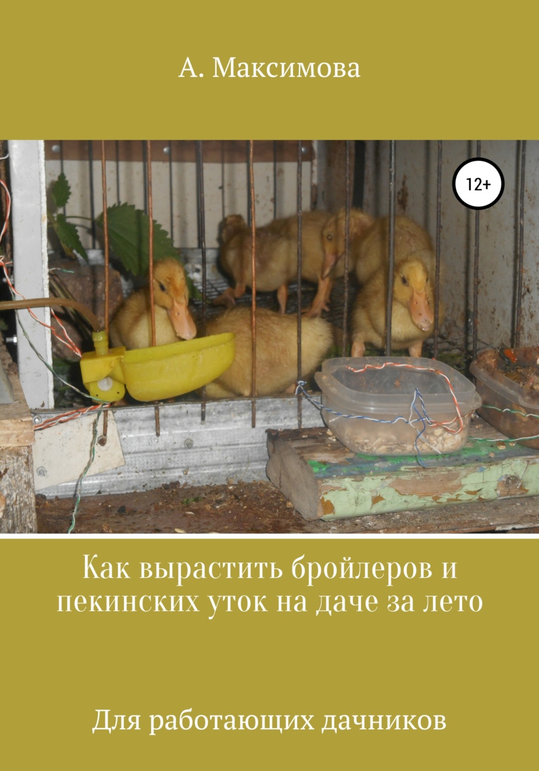 Обложка книги «Как вырастить бройлеров и пекинских уток на даче за лето. Для работающих дачников»