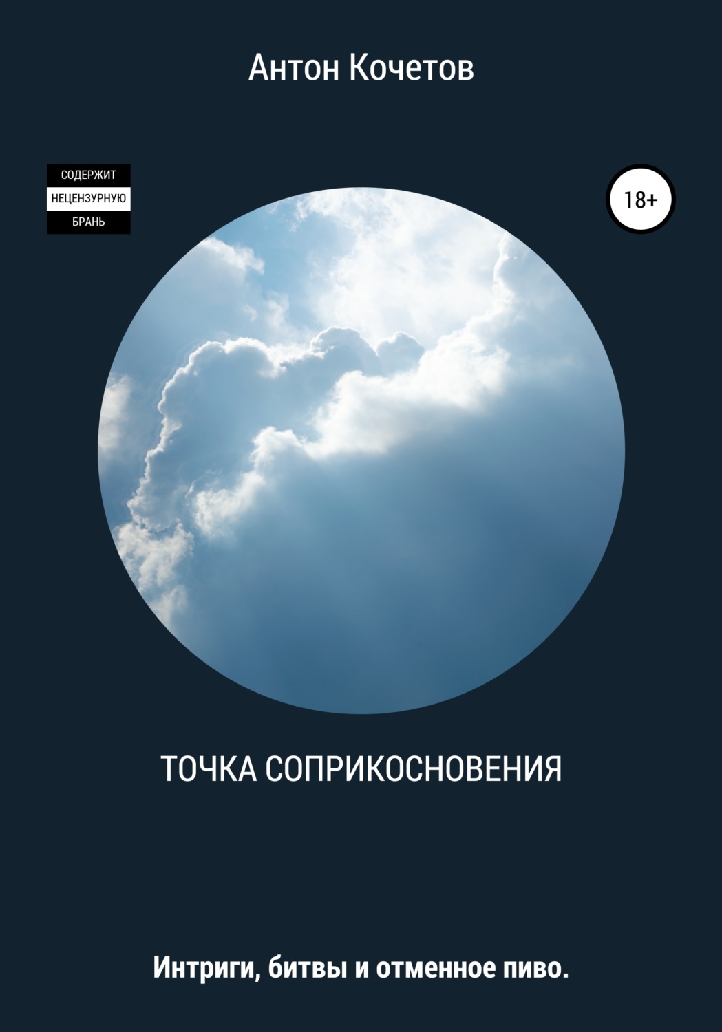 Обложка книги «Точка соприкосновения»