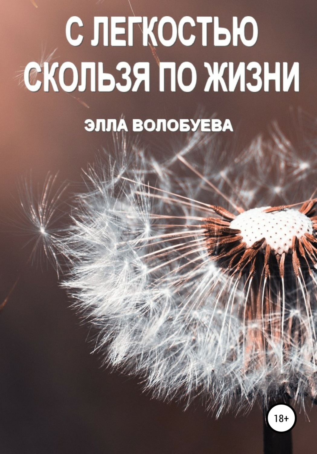 Обложка книги «С легкостью скользя по жизни»