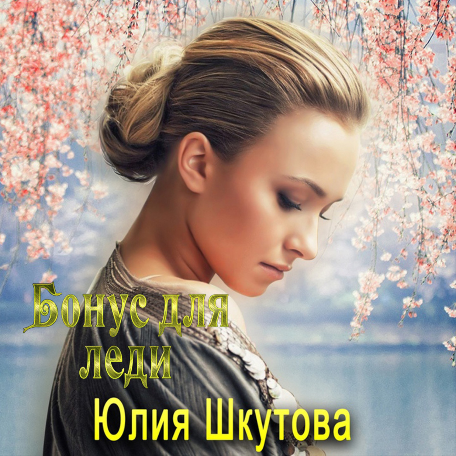 Обложка книги «Бонус для леди»