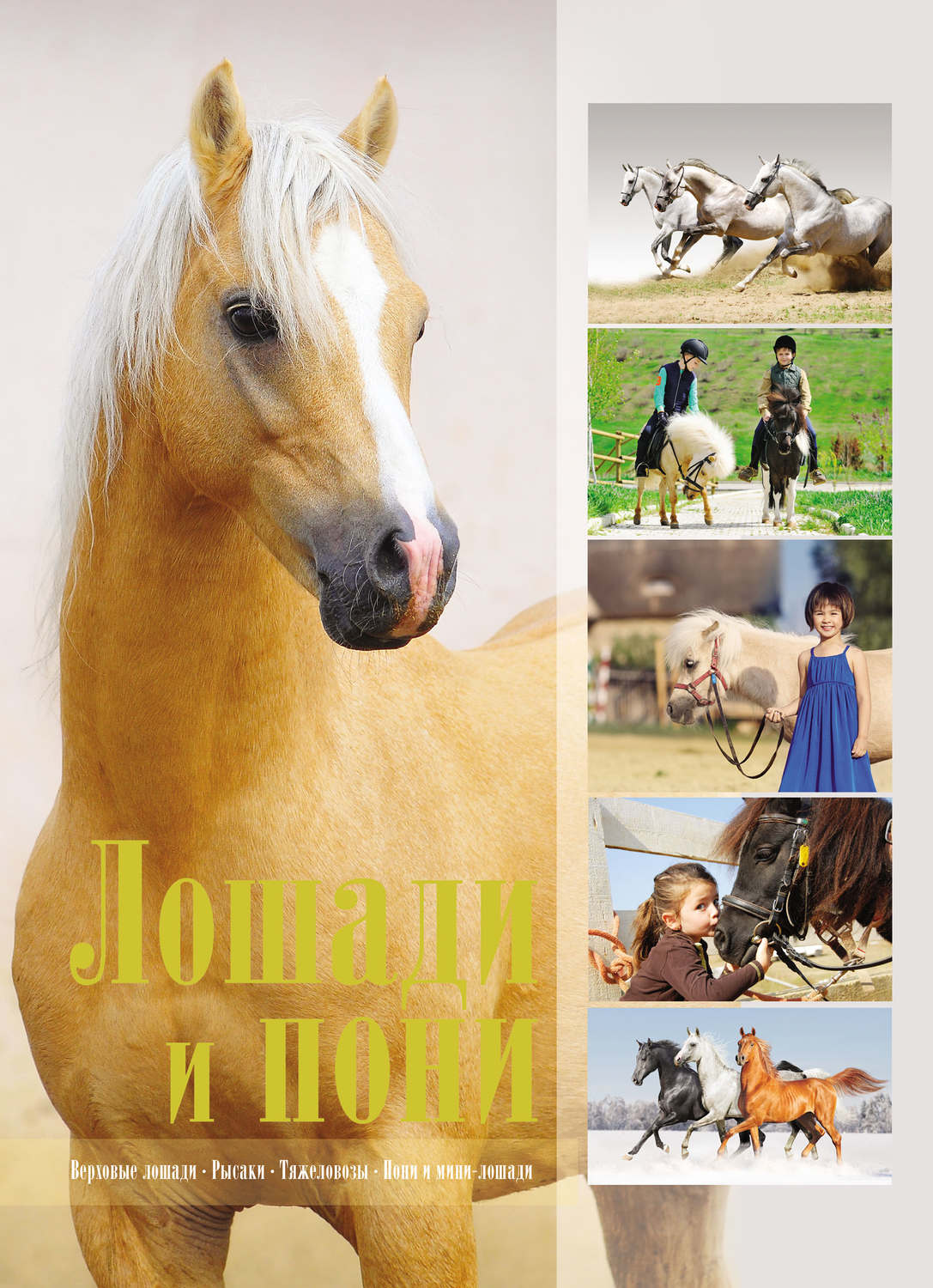 Обложка книги «Лошади и пони»