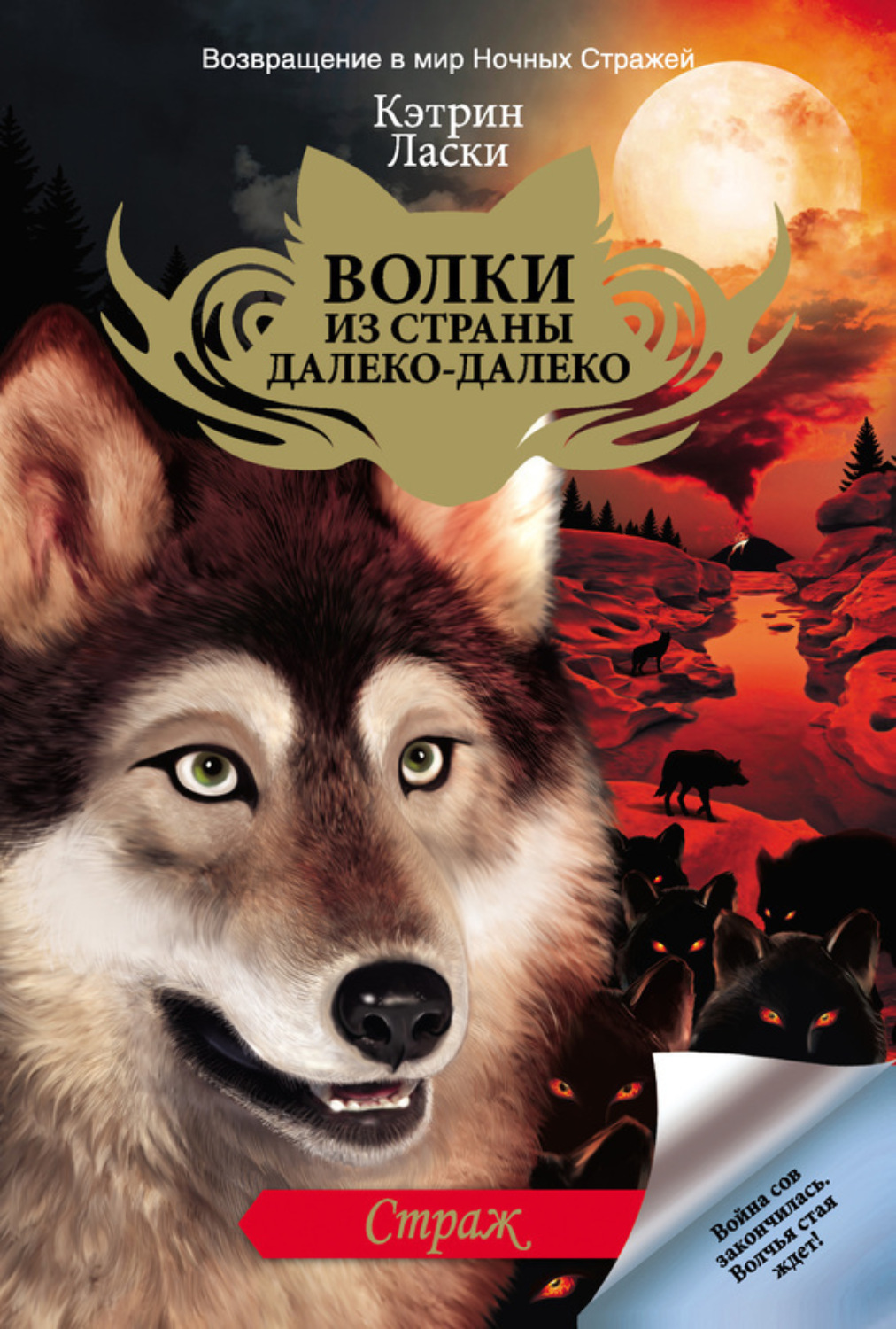 Обложка книги «Страж»
