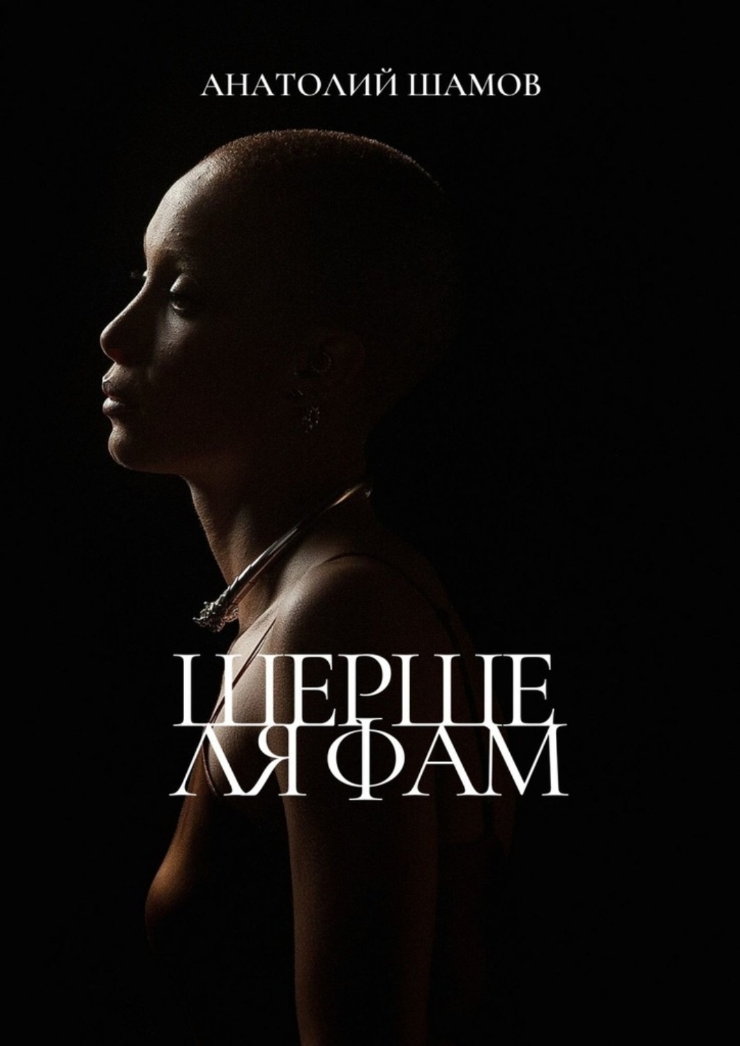 Обложка книги «Шерше ля фам. Любовная лирика»