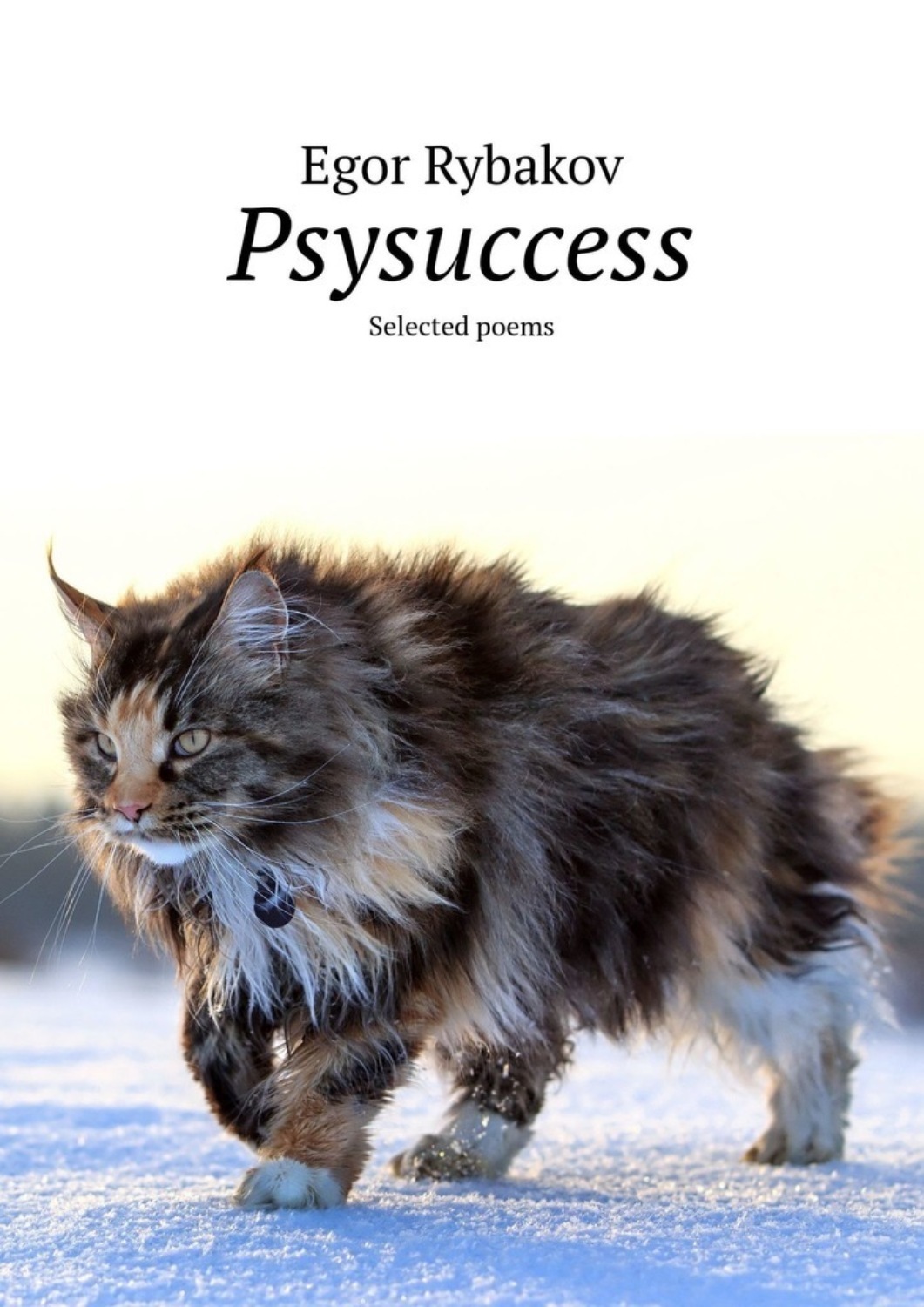 Обложка книги «Psysuccess. Selected poems»