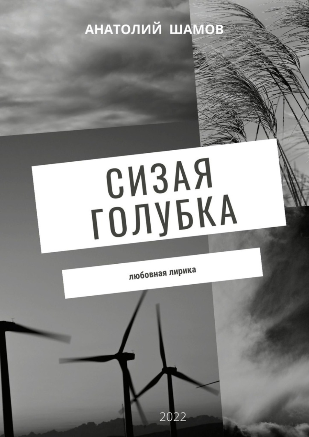 Обложка книги «Сизая голубка. Любовная лирика»