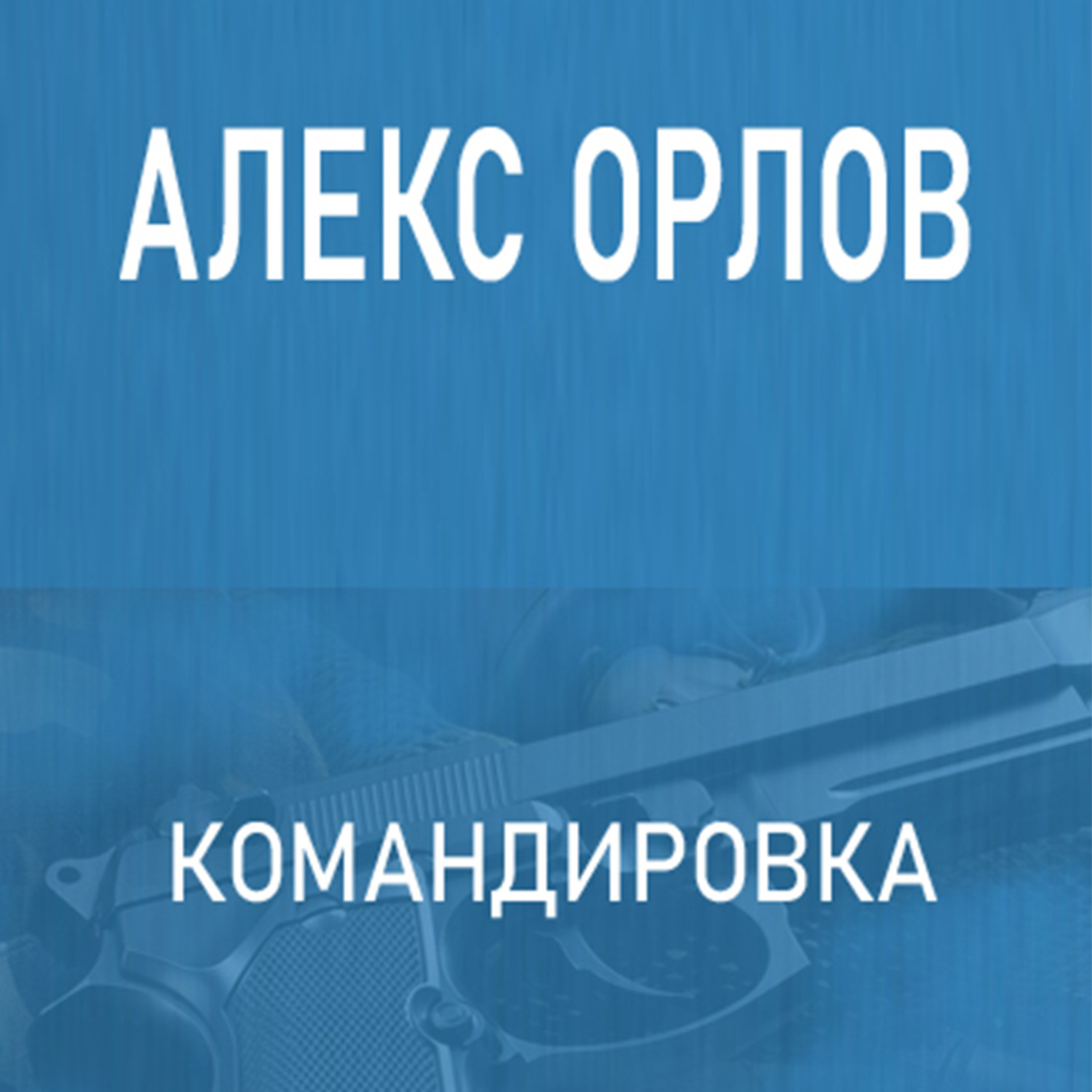 Обложка книги «Командировка»