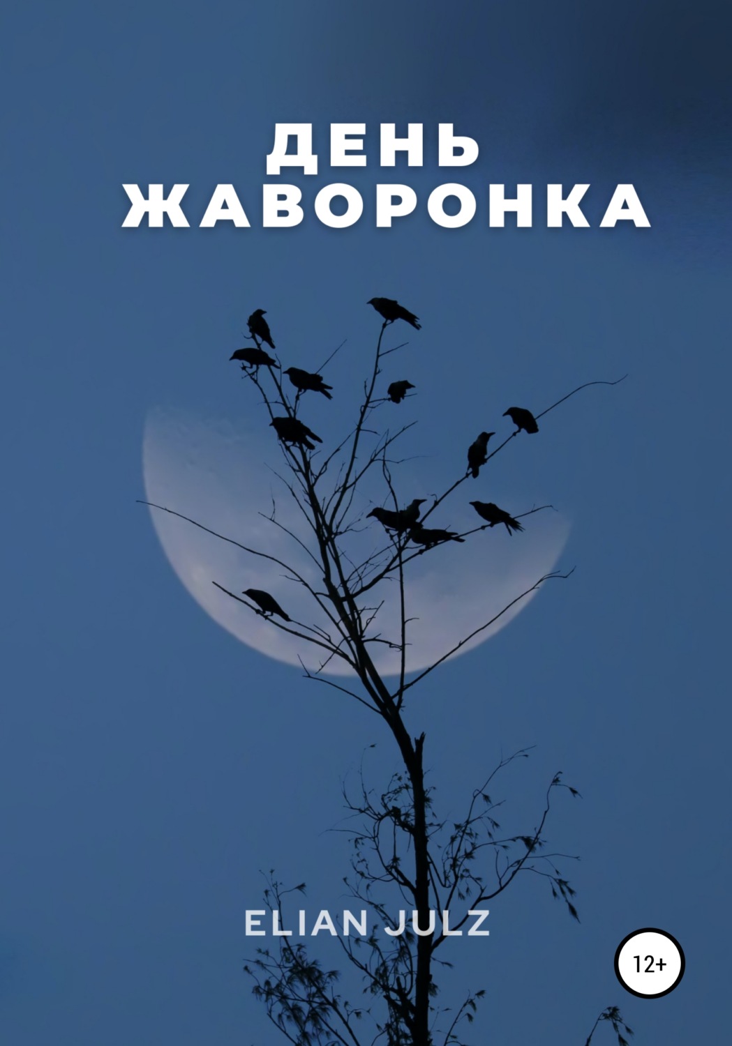 Обложка книги «День жаворонка»