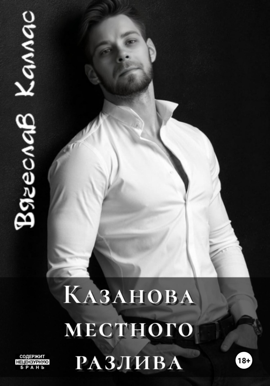 Обложка книги «Казанова местного разлива»