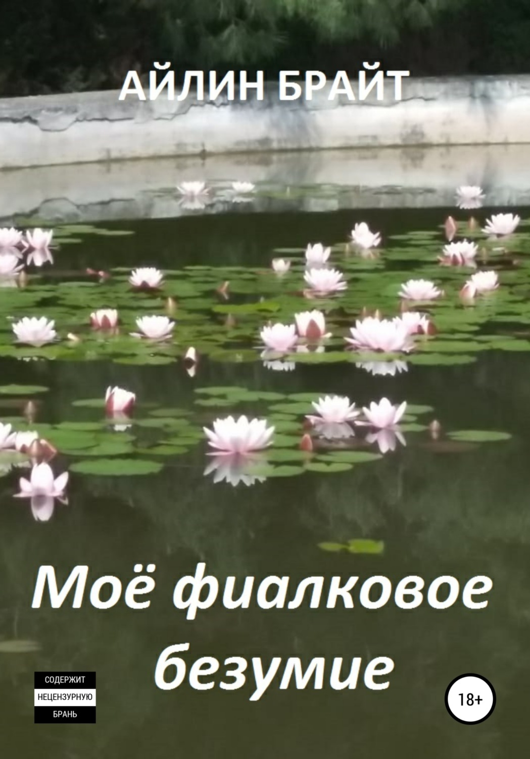 Обложка книги «Мое фиалковое безумие»
