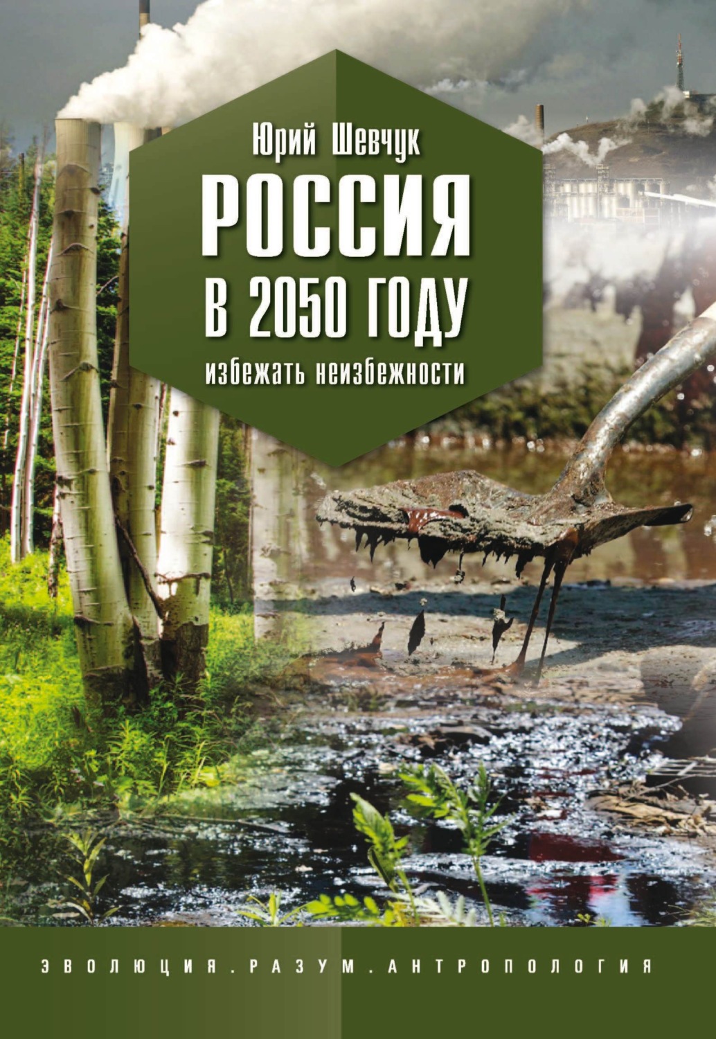 Обложка книги «Россия в 2050 году. Избежать неизбежности»