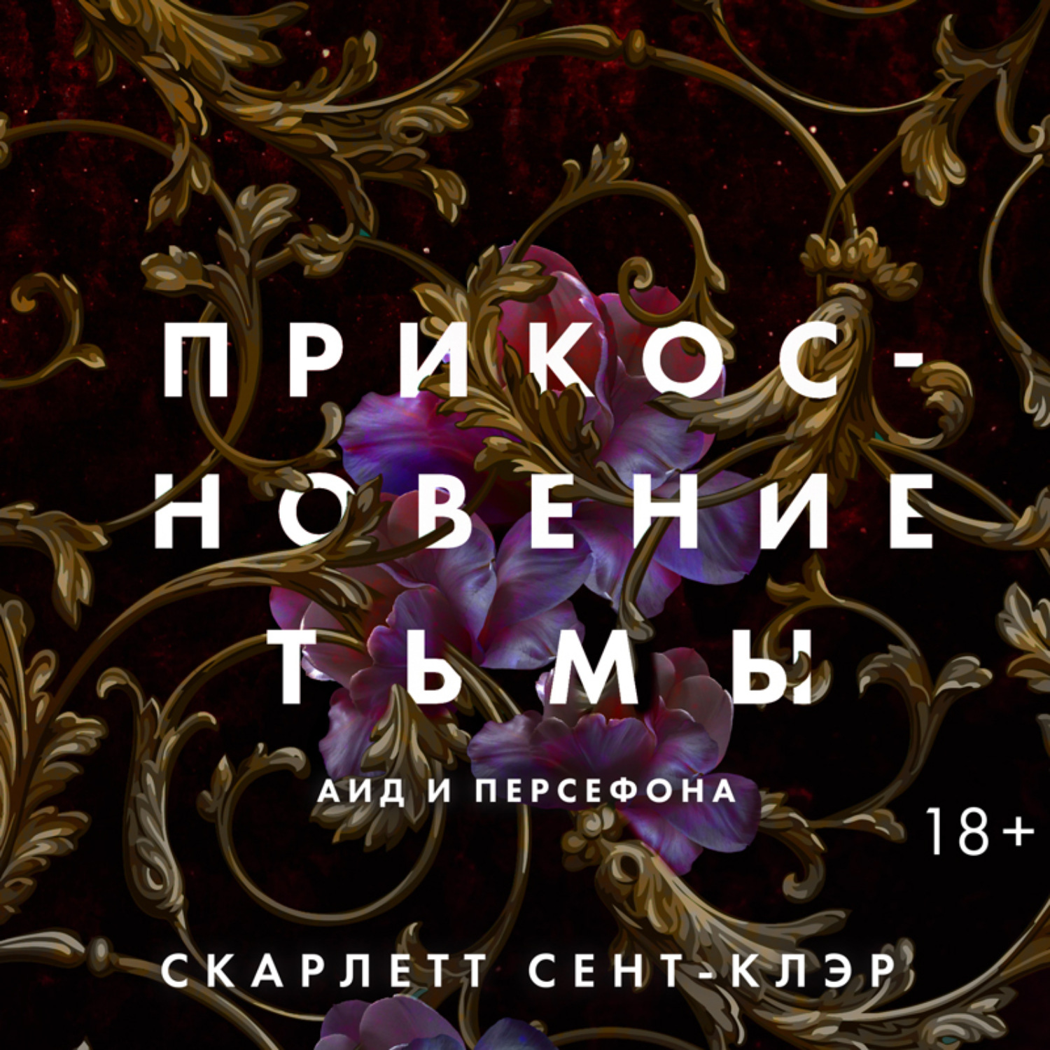 Обложка книги «Прикосновение тьмы»
