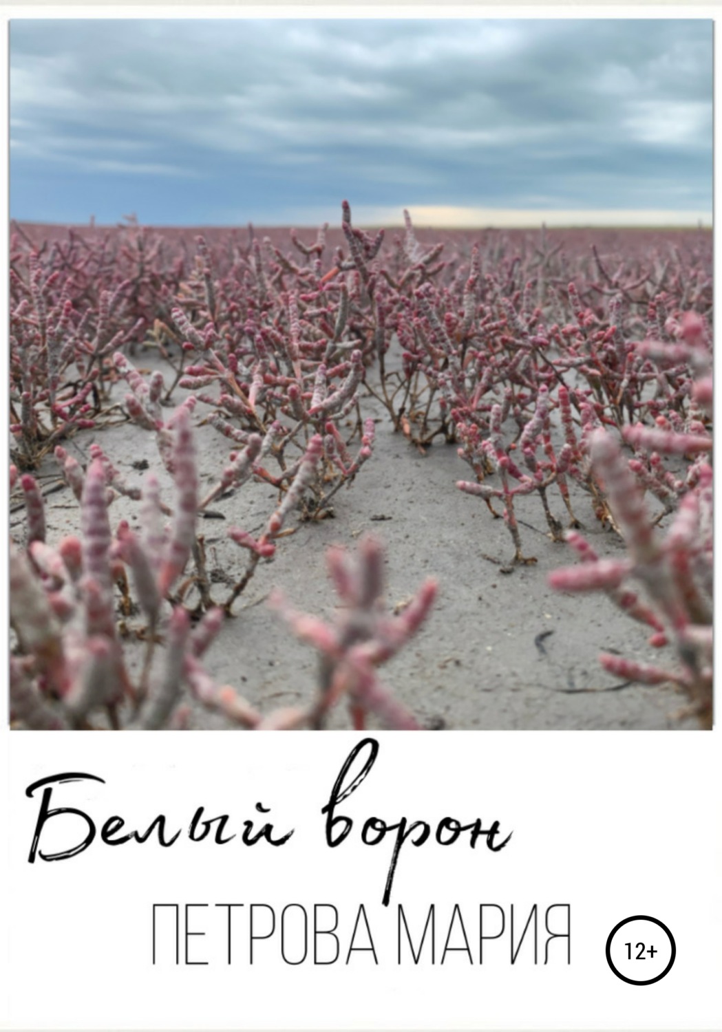Обложка книги «Белый ворон»