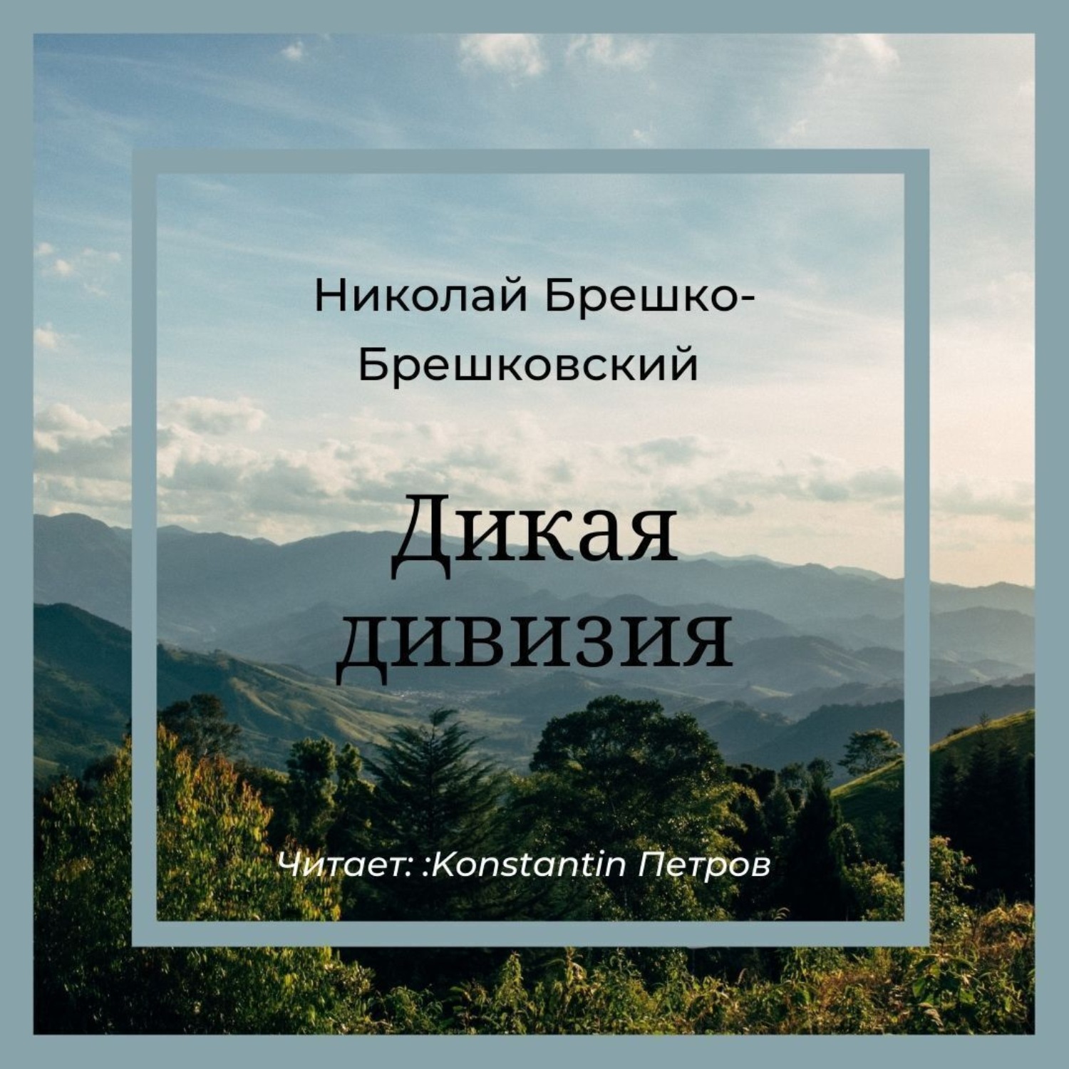 Обложка книги «Дикая дивизия»