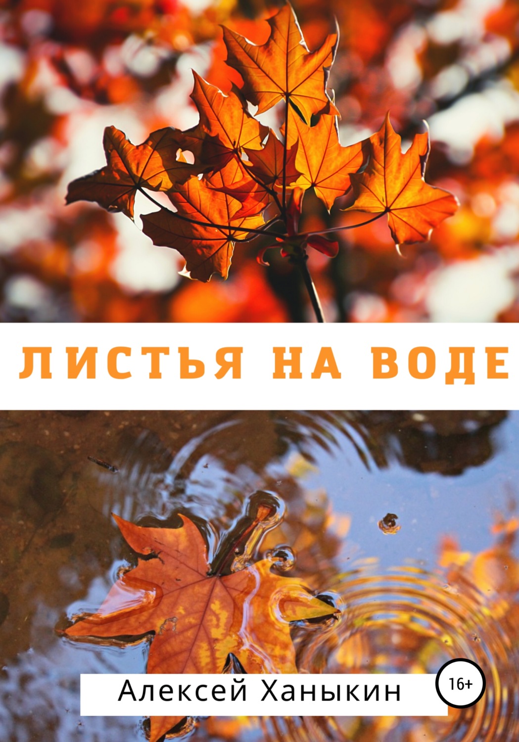 Обложка книги «Листья на воде»