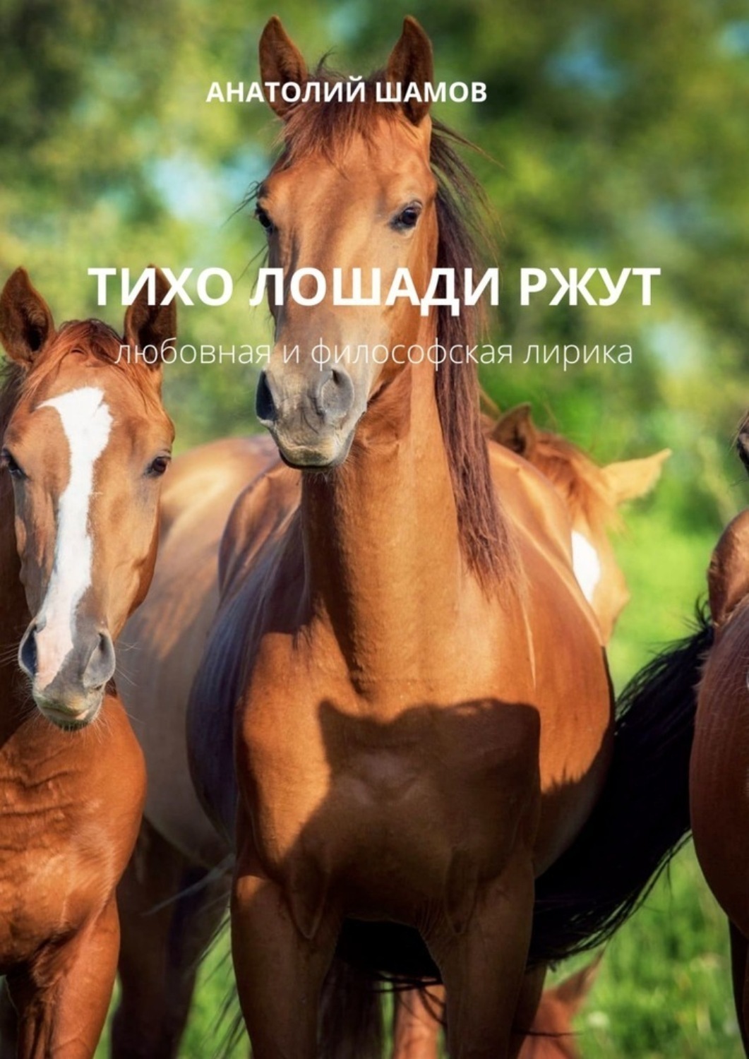 Обложка книги «Тихо лошади ржут. Любовная и философская лирика»