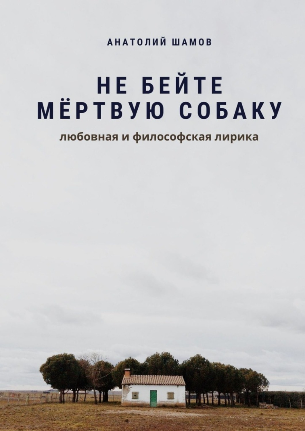 Обложка книги «Не бейте мёртвую собаку. Любовная и философская лирика»