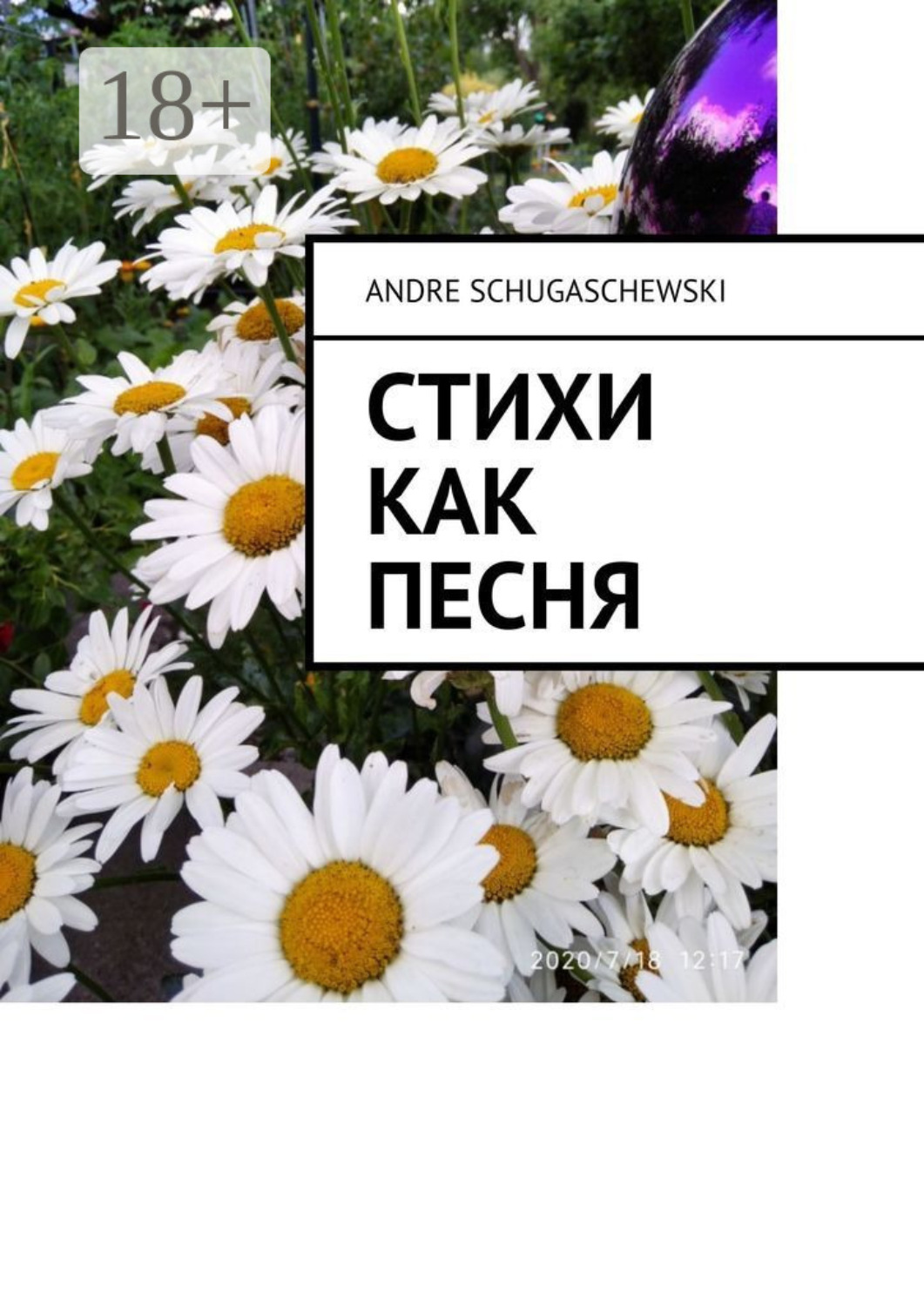 Обложка книги «Стихи как песня»