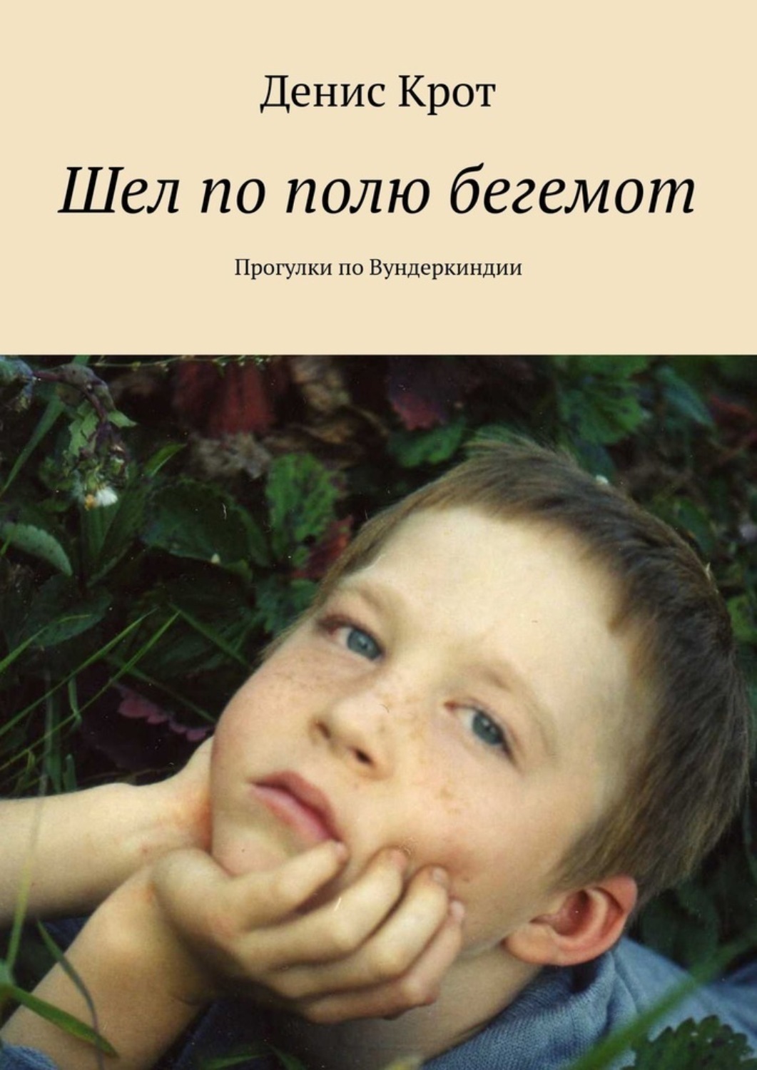 Обложка книги «Шел по полю бегемот. Прогулки по Вундеркиндии»