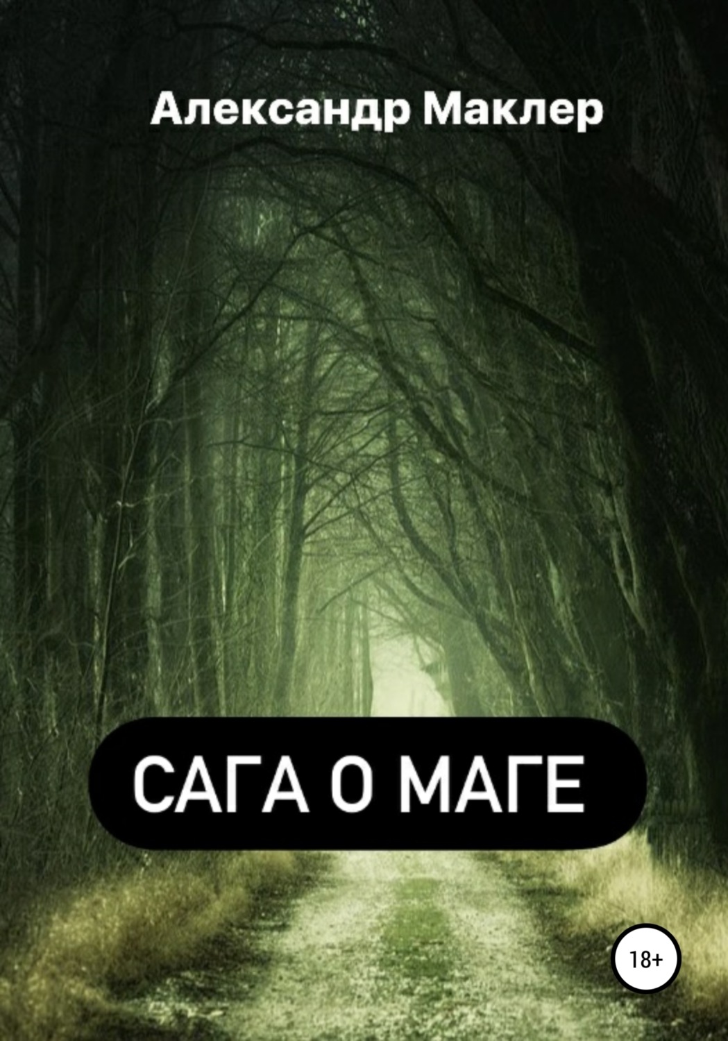 Обложка книги «Сага о маге»