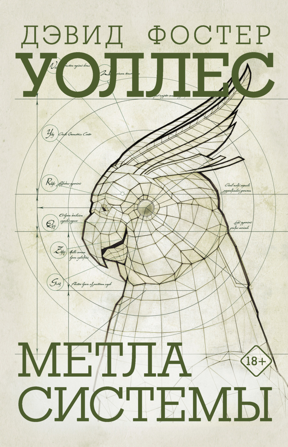 Обложка книги «Метла системы»