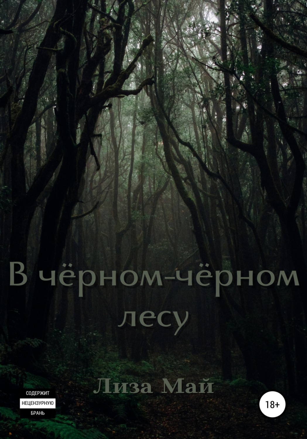 Обложка книги «В чёрном-чёрном лесу»