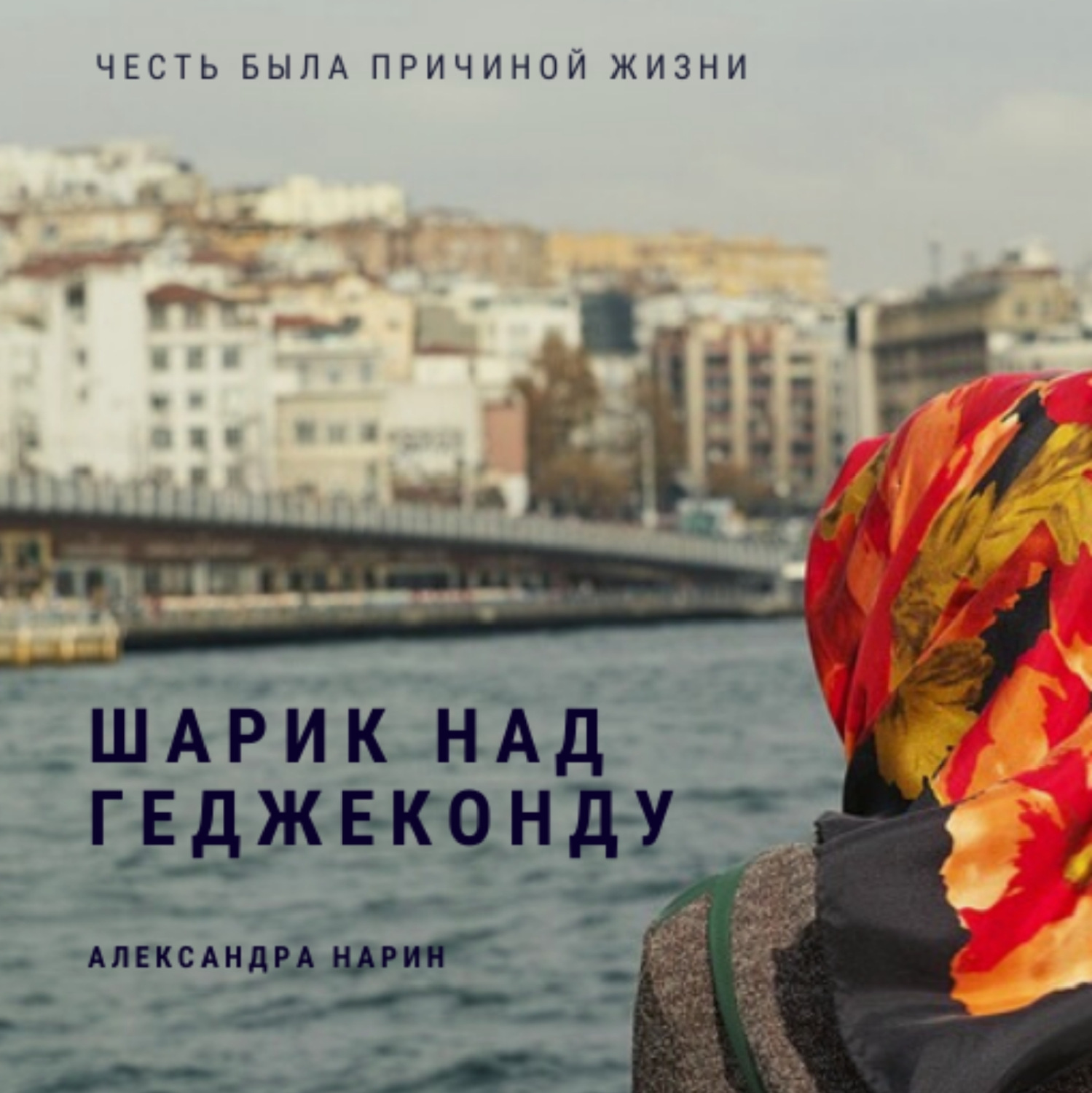 Обложка книги «Шарик над геджеконду»