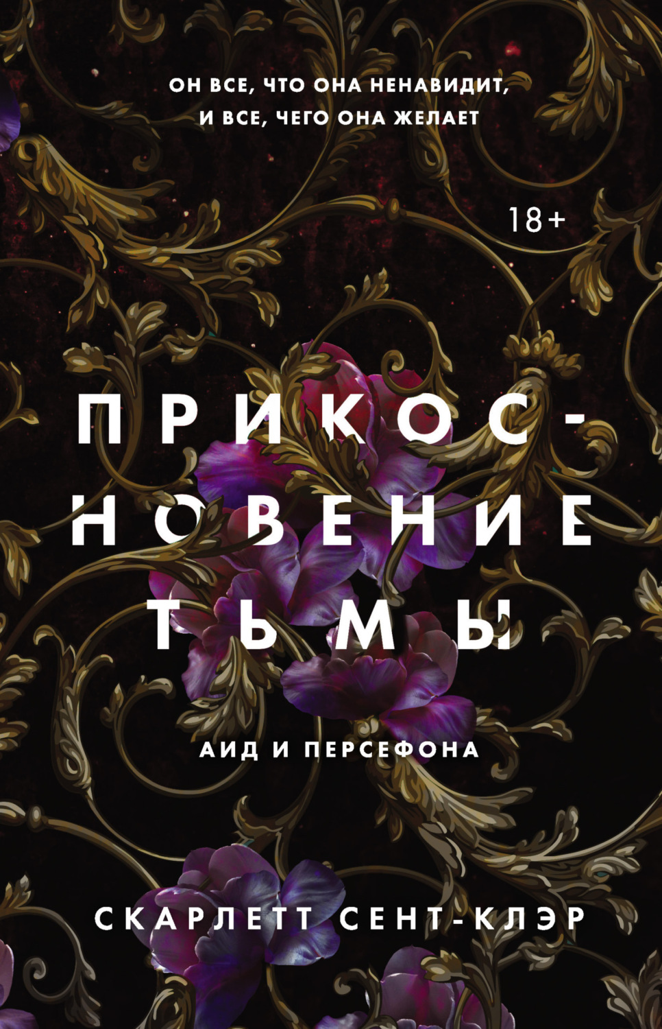 Обложка книги «Прикосновение тьмы»