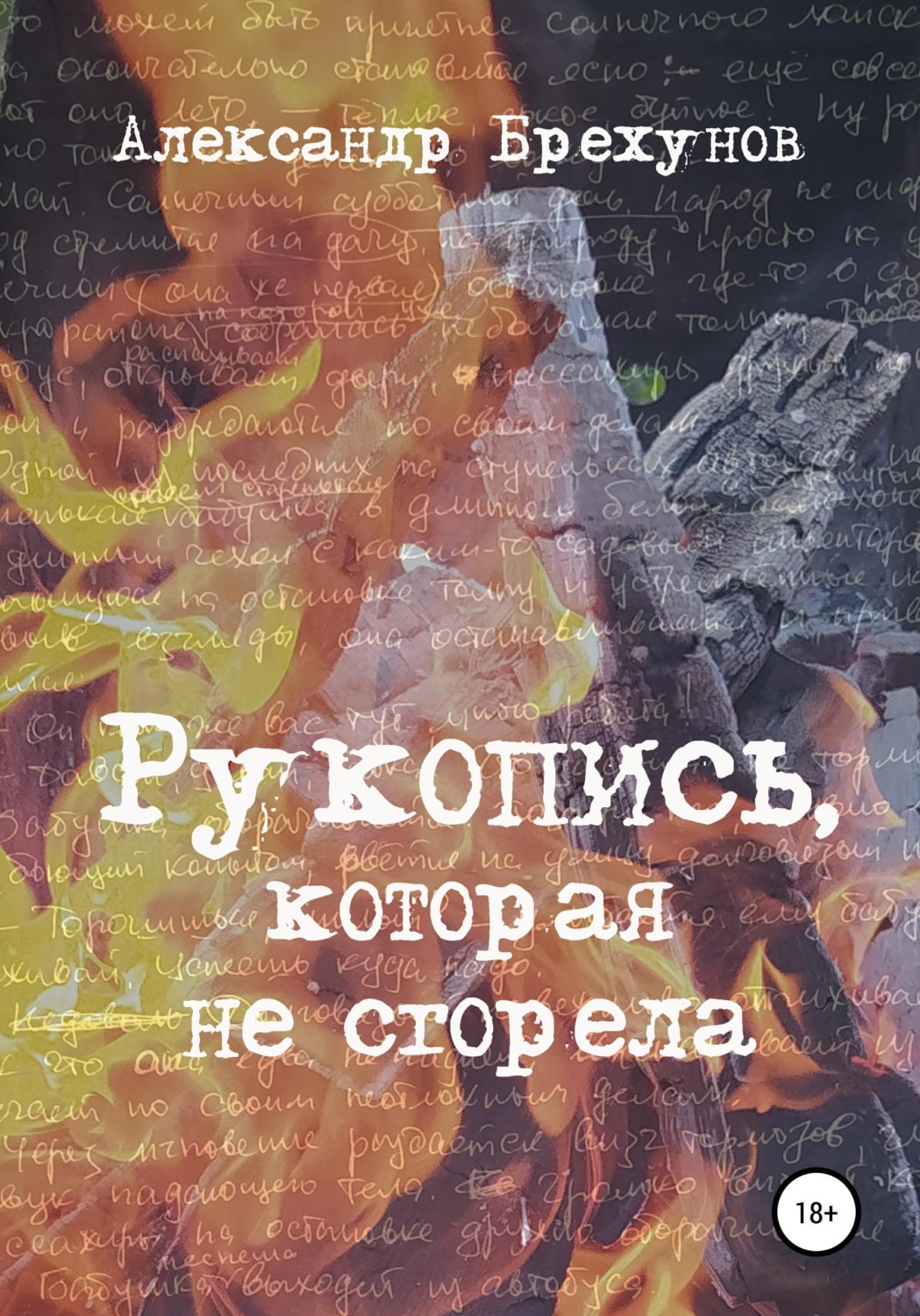 Обложка книги «Рукопись, которая не сгорела»