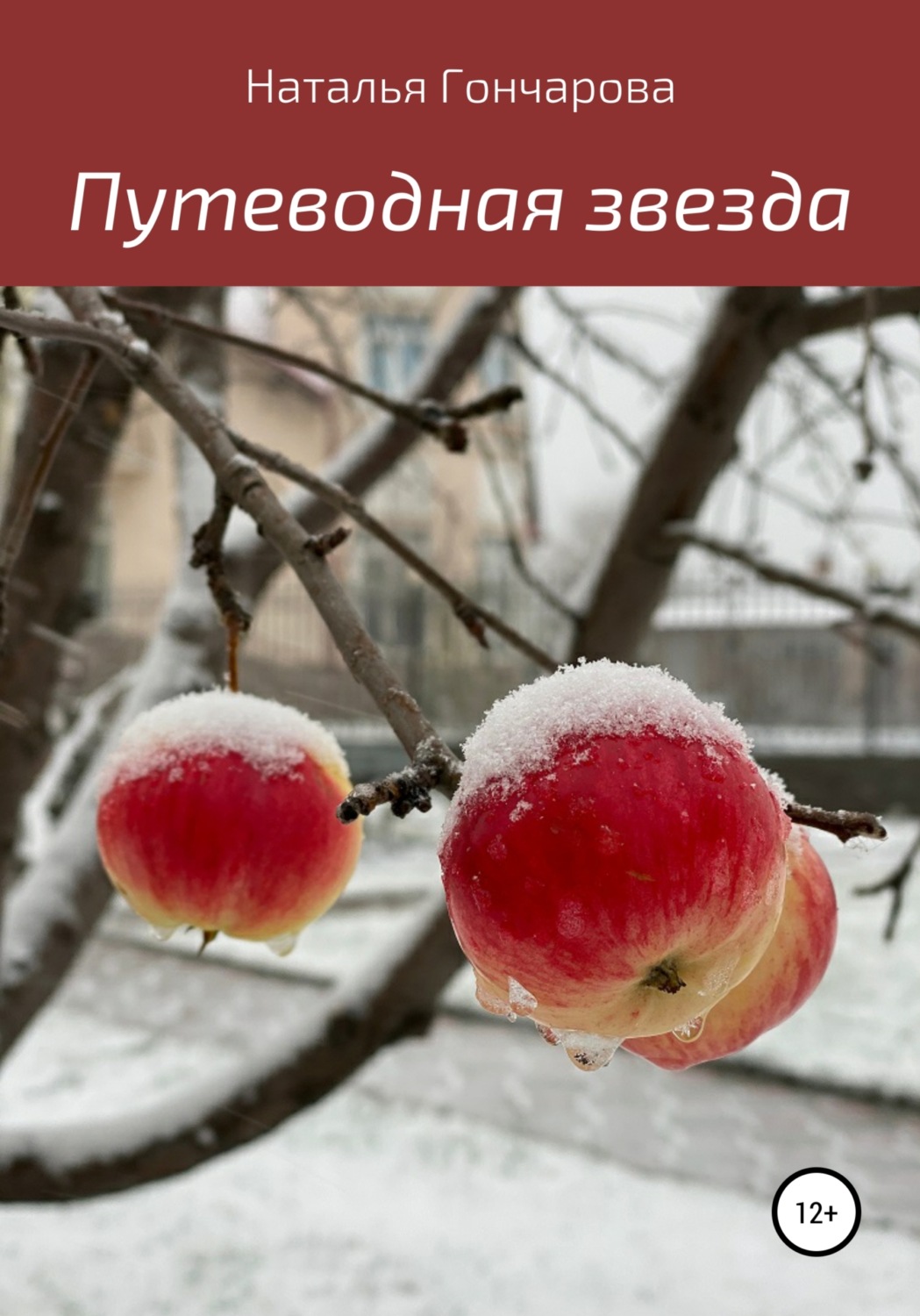 Обложка книги «Путеводная звезда»
